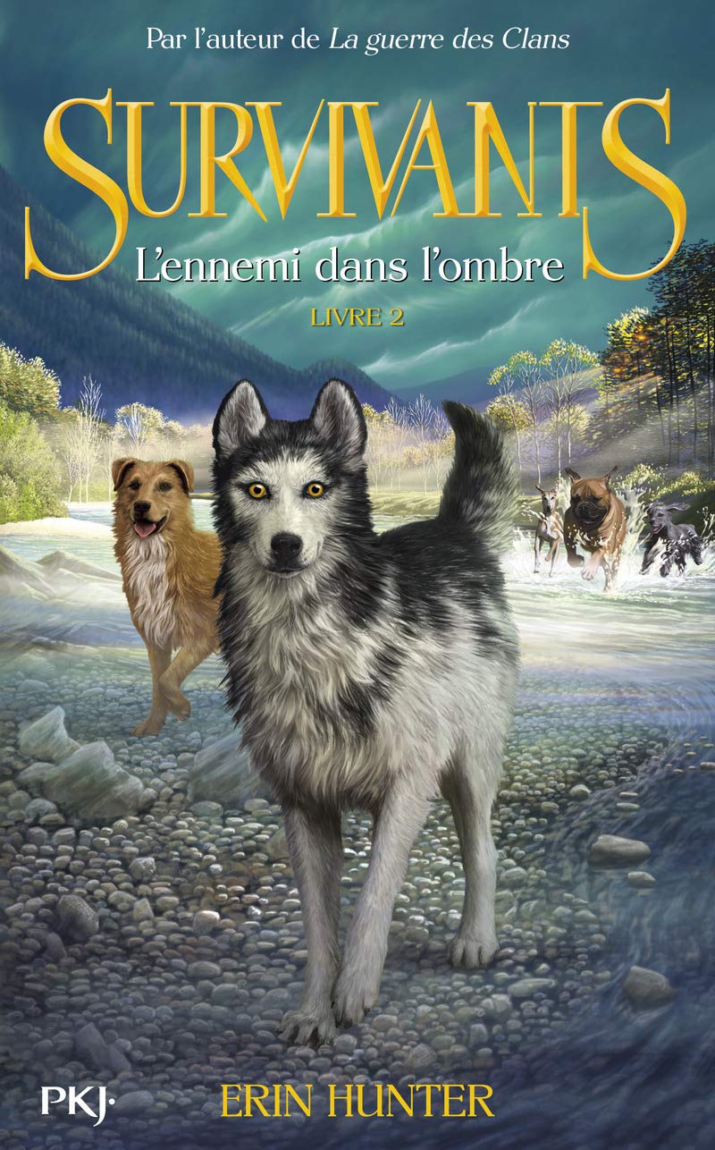 2. Survivants : L'ennemi dans l'ombre (2) 9782266233354