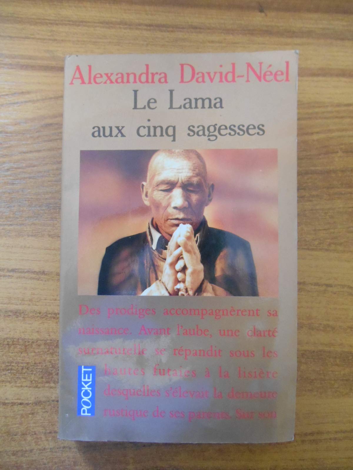 Le Lama aux cinq sagesses 9782266033091