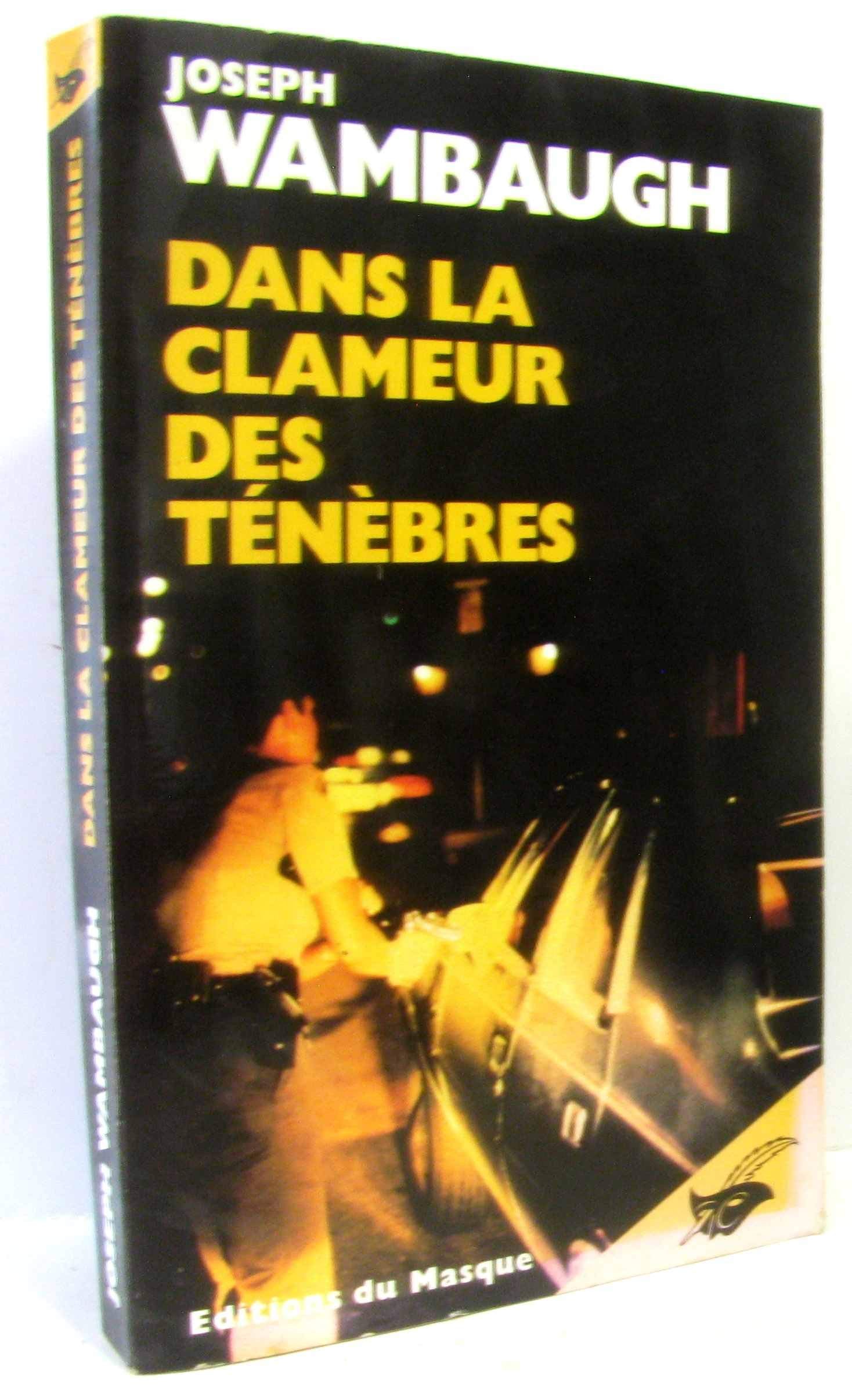 DANS LA CLAMEUR DES TENEBRES 9782702420157