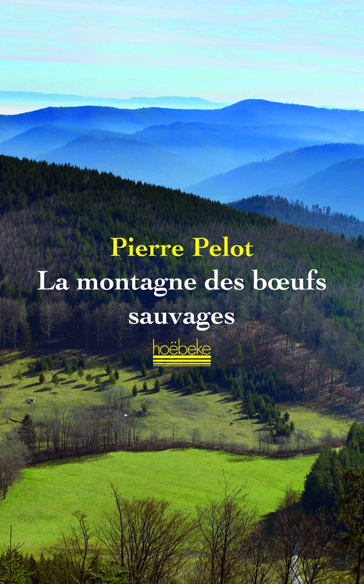 La montagne des bœufs sauvages 9782842303440