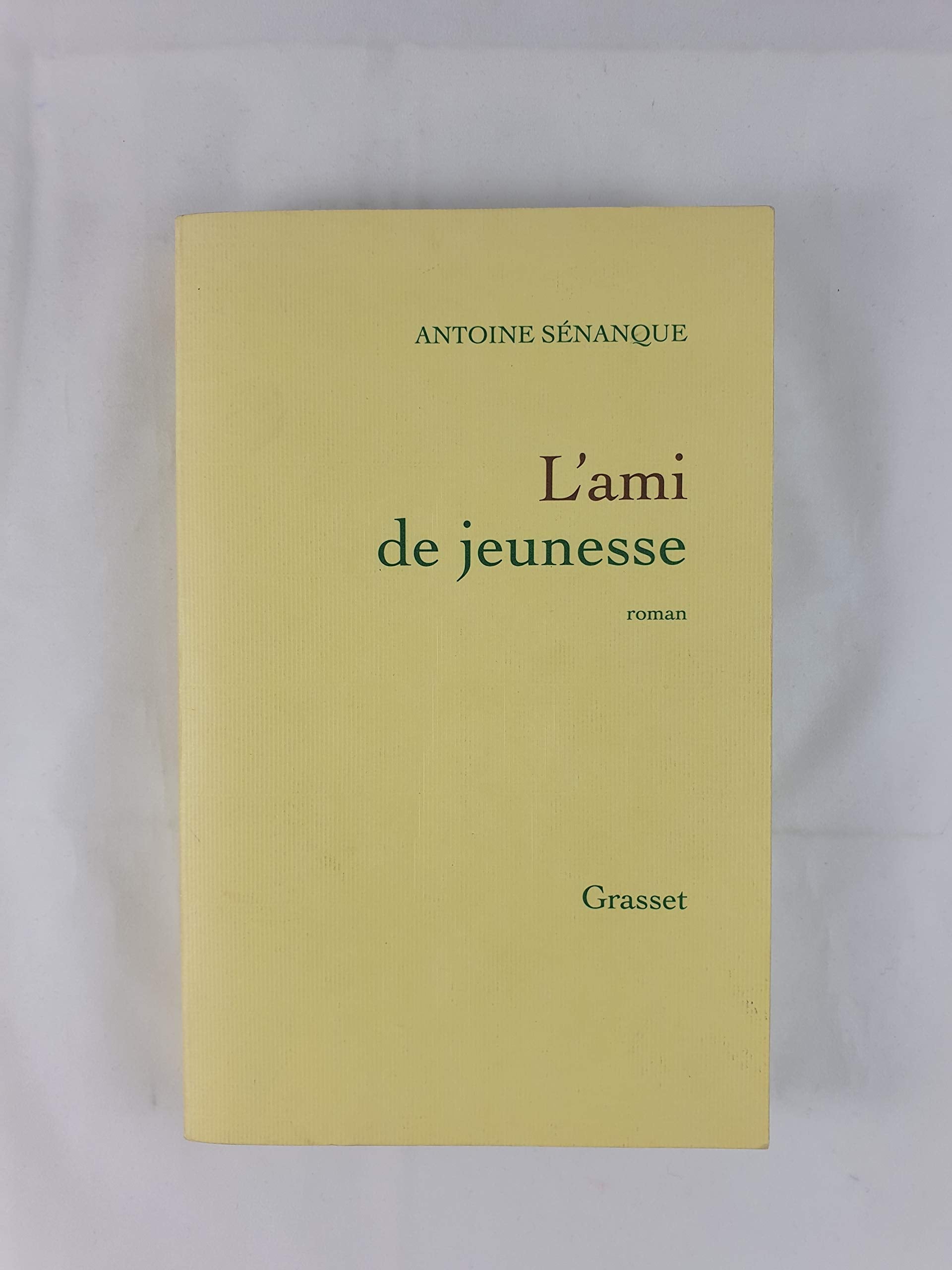 L'ami de jeunesse 9782841146031