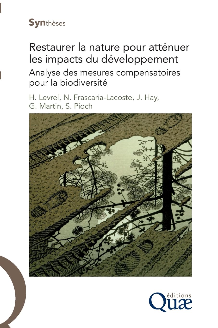 Restaurer la nature pour atténuer les impacts du développement: Analyse des mesures compensatoires pour la biodiversité. 9782759222902