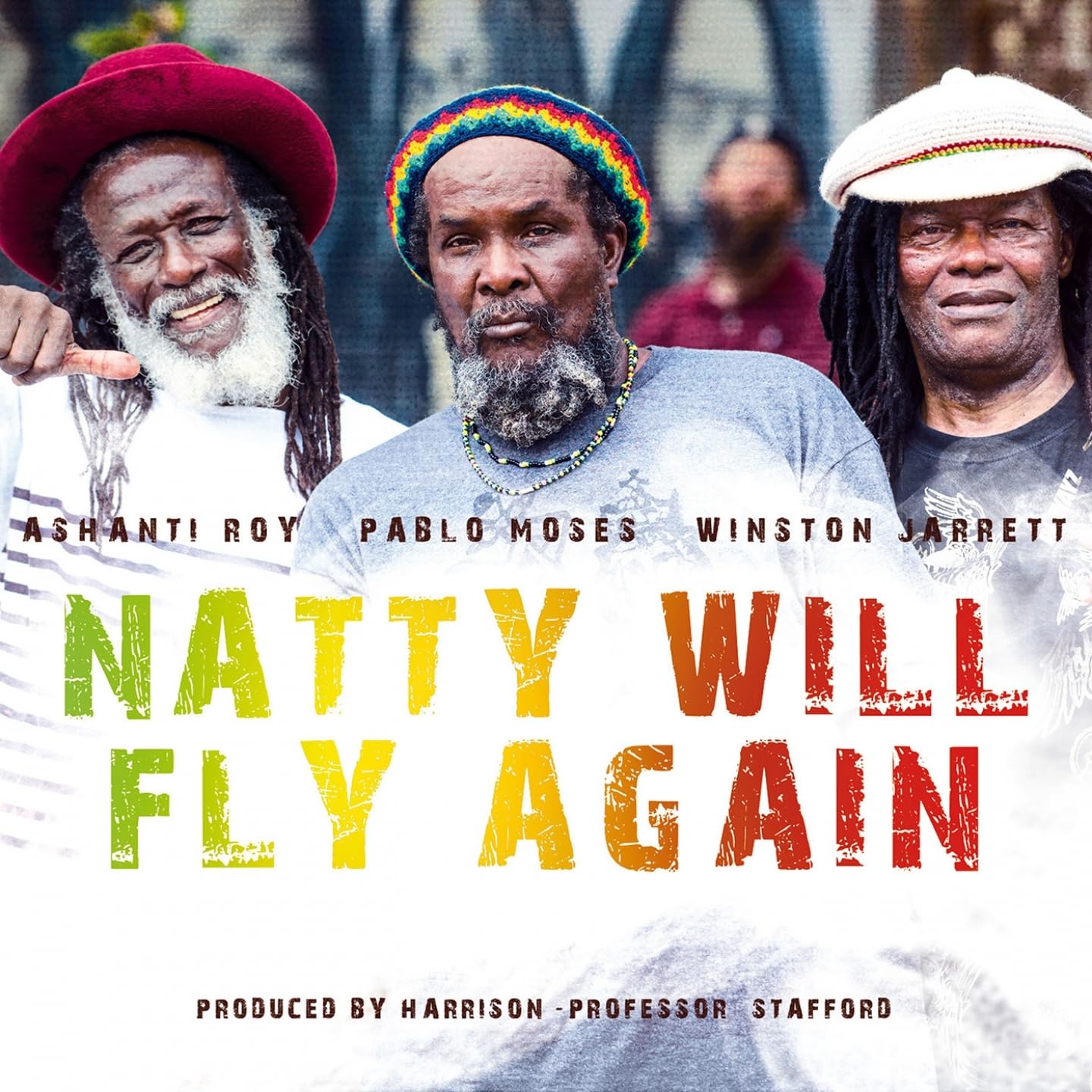 Natty Will Fly Again 3149028056426