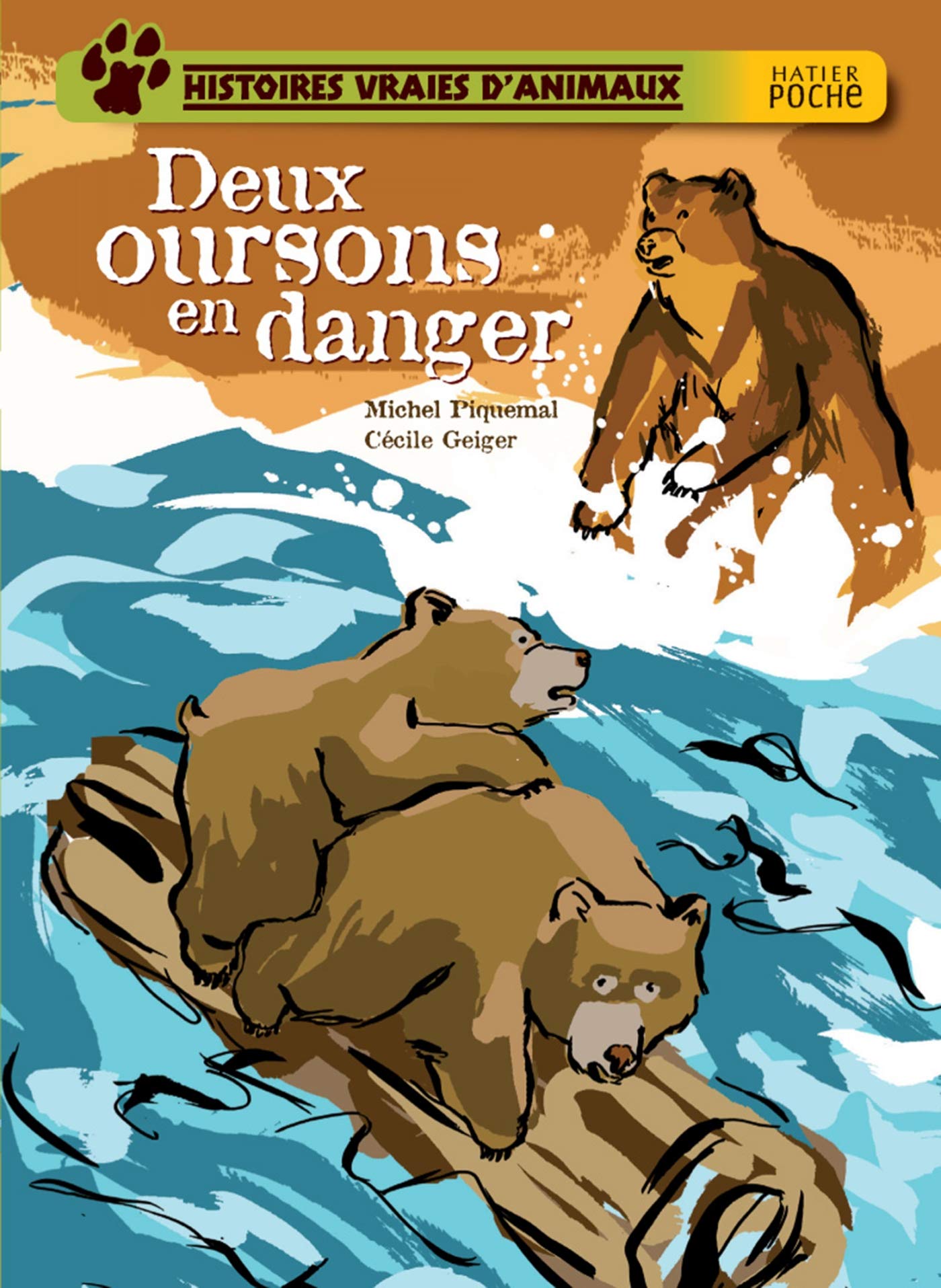 Deux oursons en danger 9782218928710