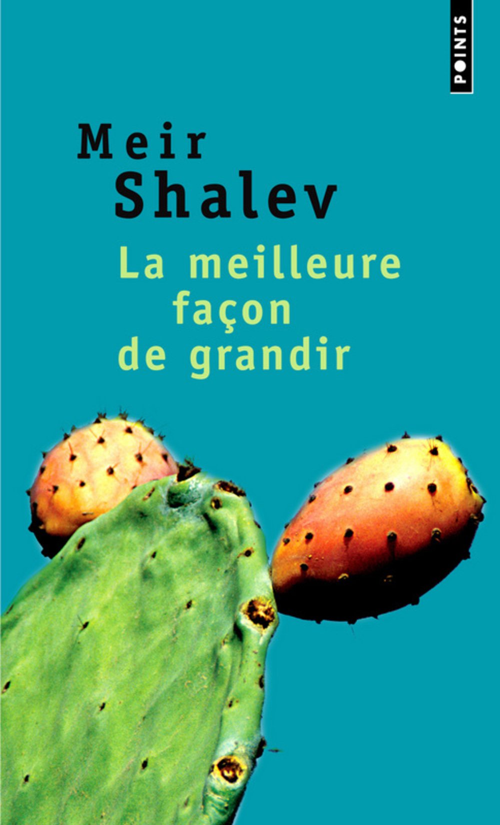 La meilleure façon de grandir 9782020668415