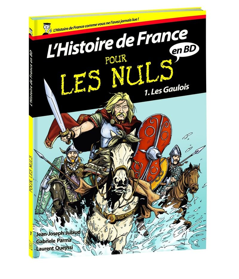 Histoire de France en BD Pour les Nuls - Tome 1 : Les Gaulois (01) 9782754029957