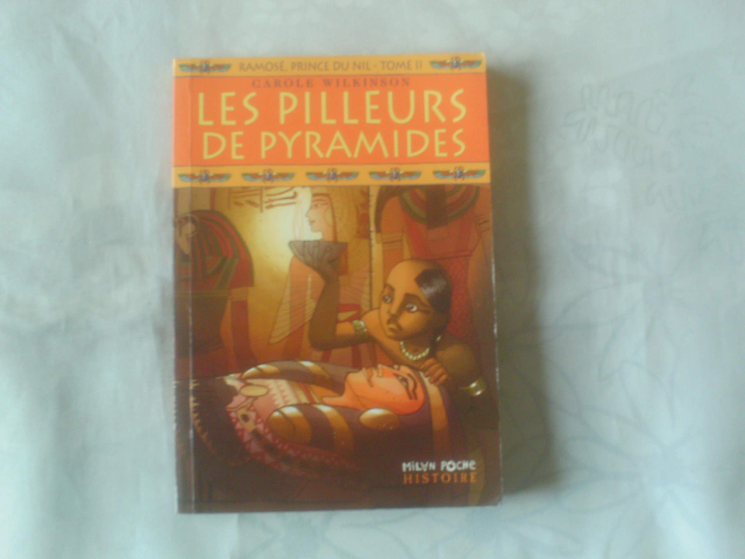 Les pilleurs de pyramides 9782745912497