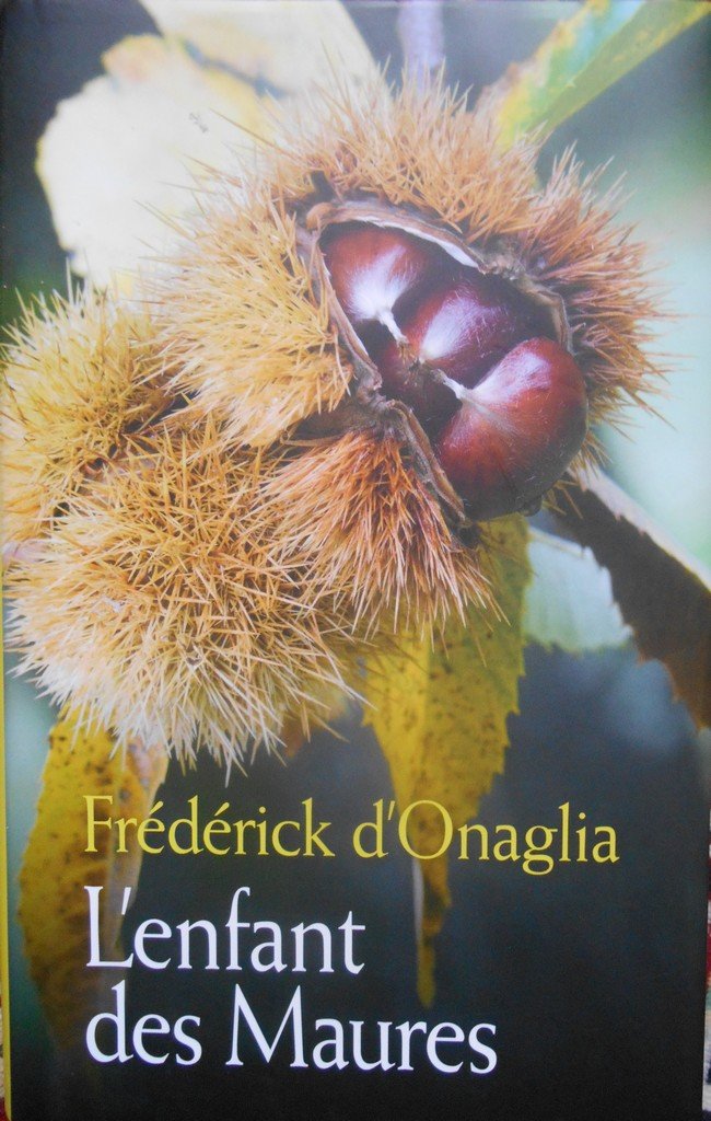 L'enfant des Maures 9782298074963