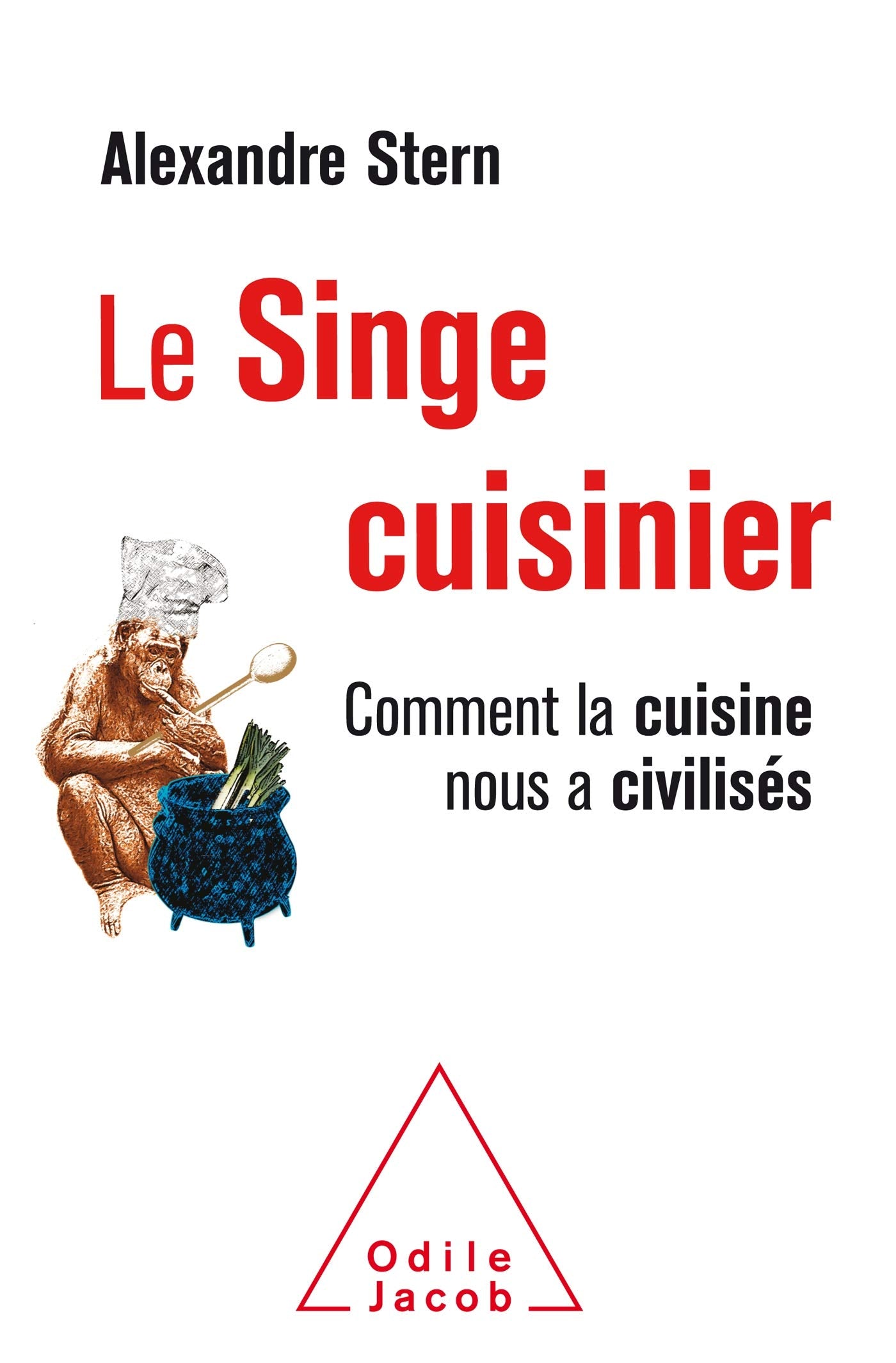 Le Singe cuisinier 9782738151988