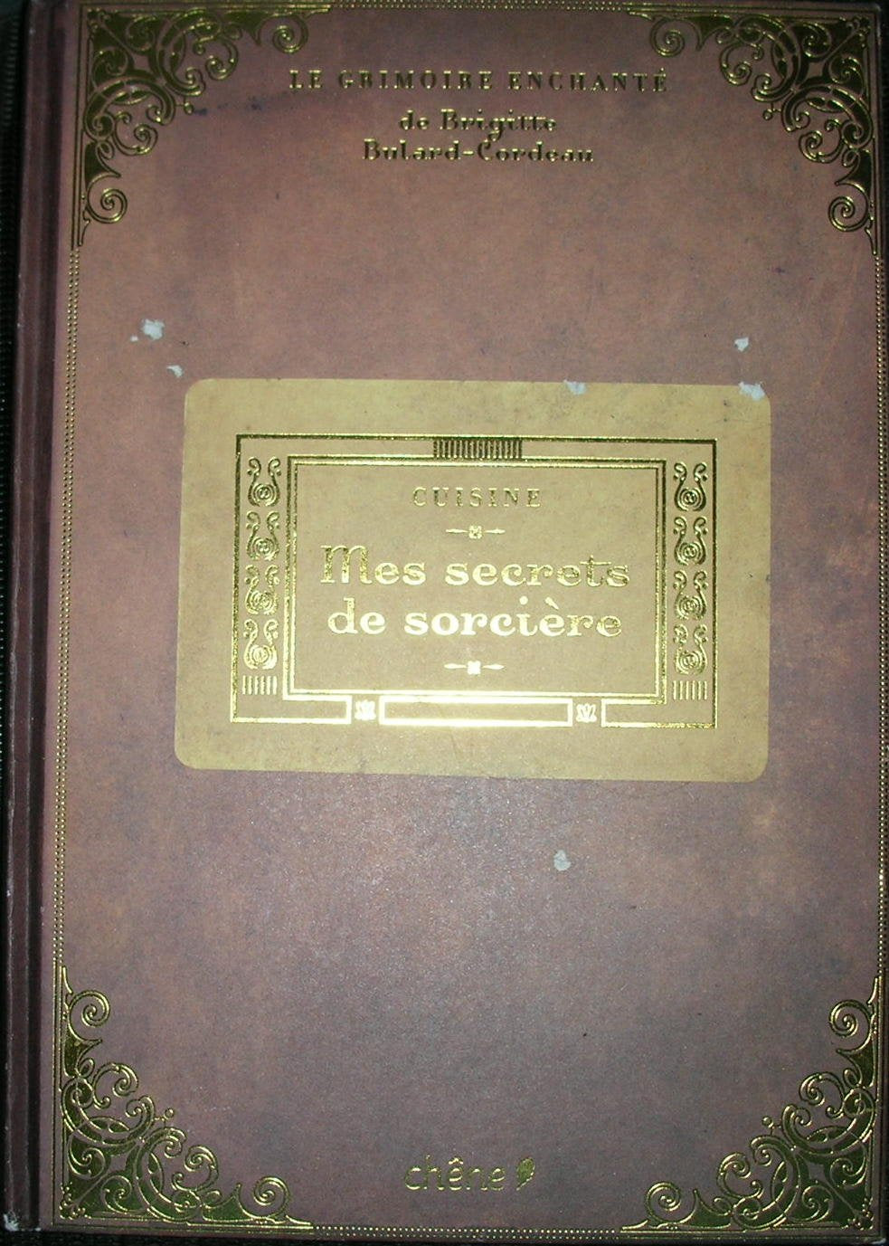 Mes secrets de sorcière : cuisine: Le grimoire enchanté 9782842777906