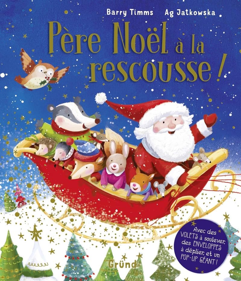 Père Noël à la rescousse 9782324018022