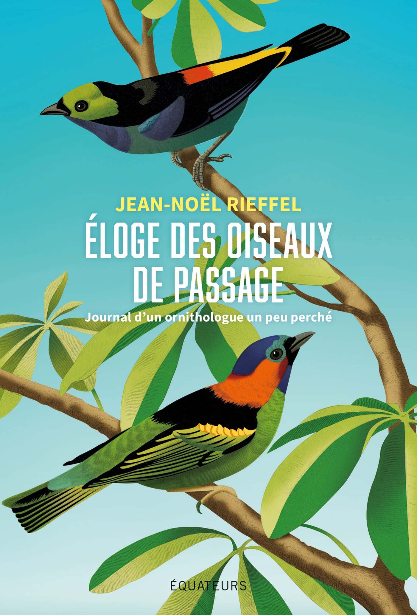 Éloge des oiseaux de passage: Journal d'un ornithologue un peu perché 9782382845172