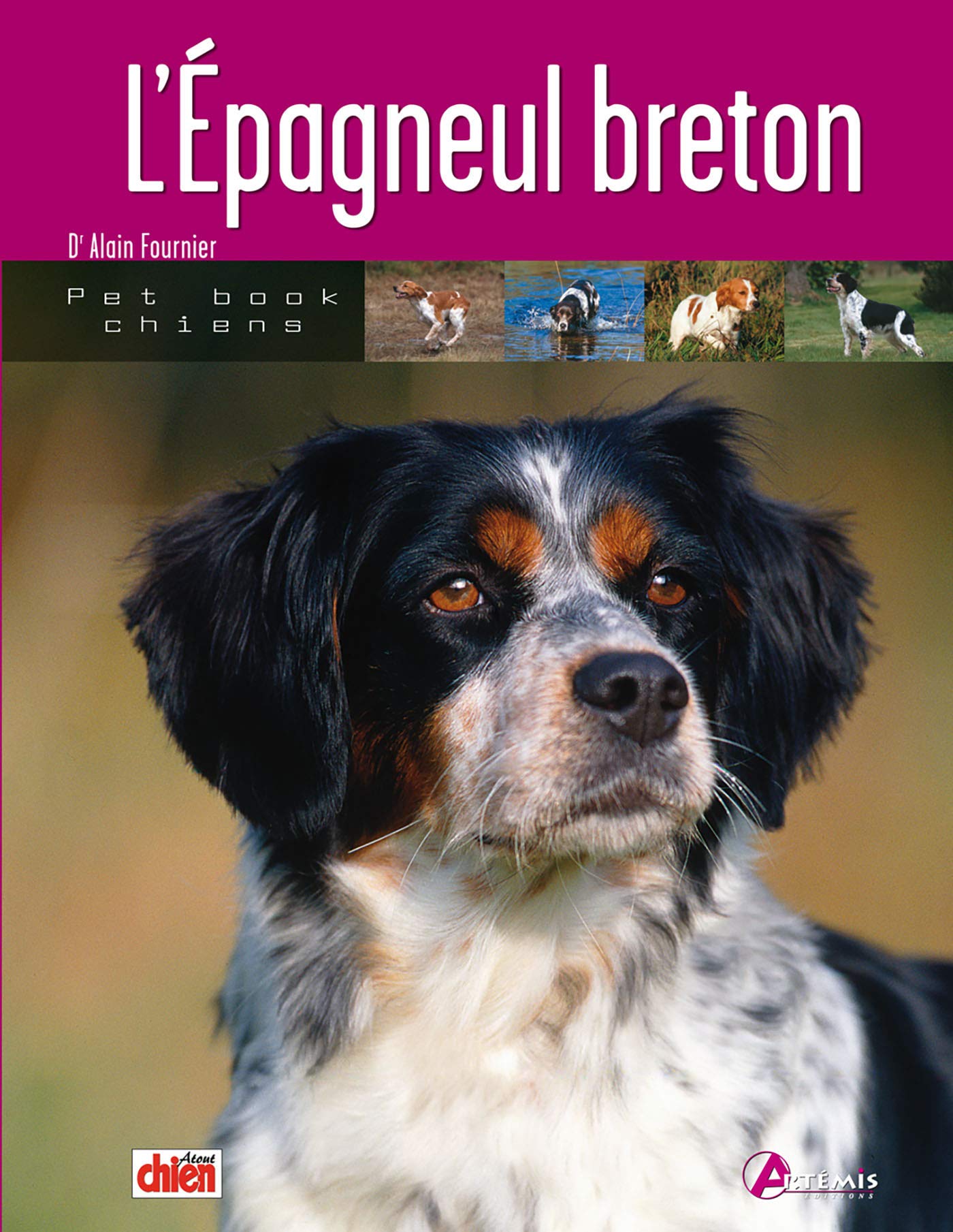 L'épagneul breton (0) 9782844161925