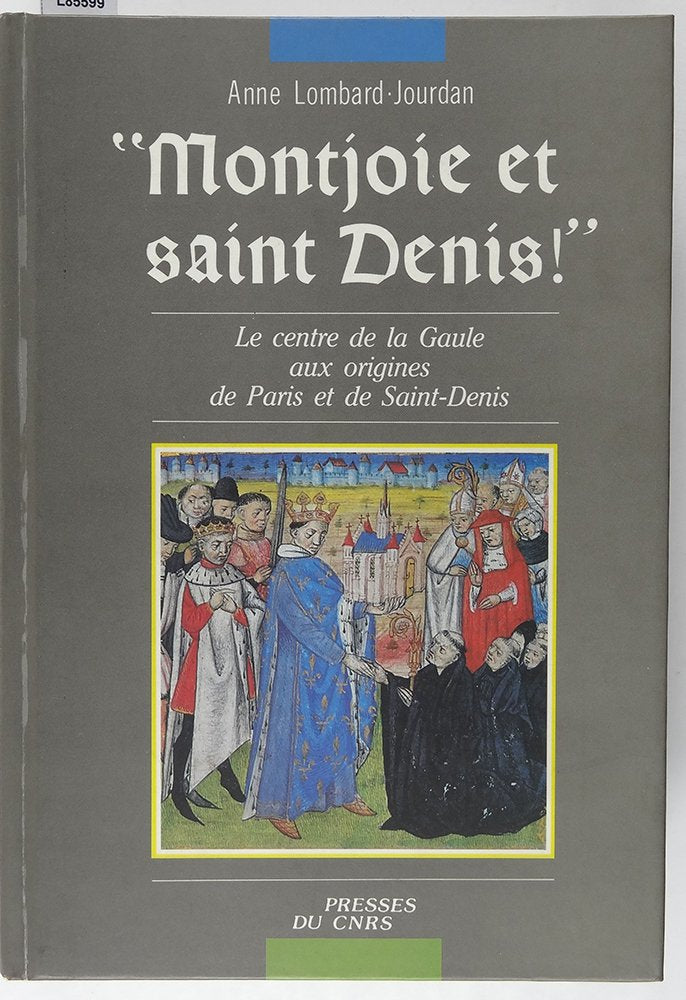 Montjoie et Saint Denis: Le centre de la Gaule aux origines de Paris et de Saint-Denis 9782876820296