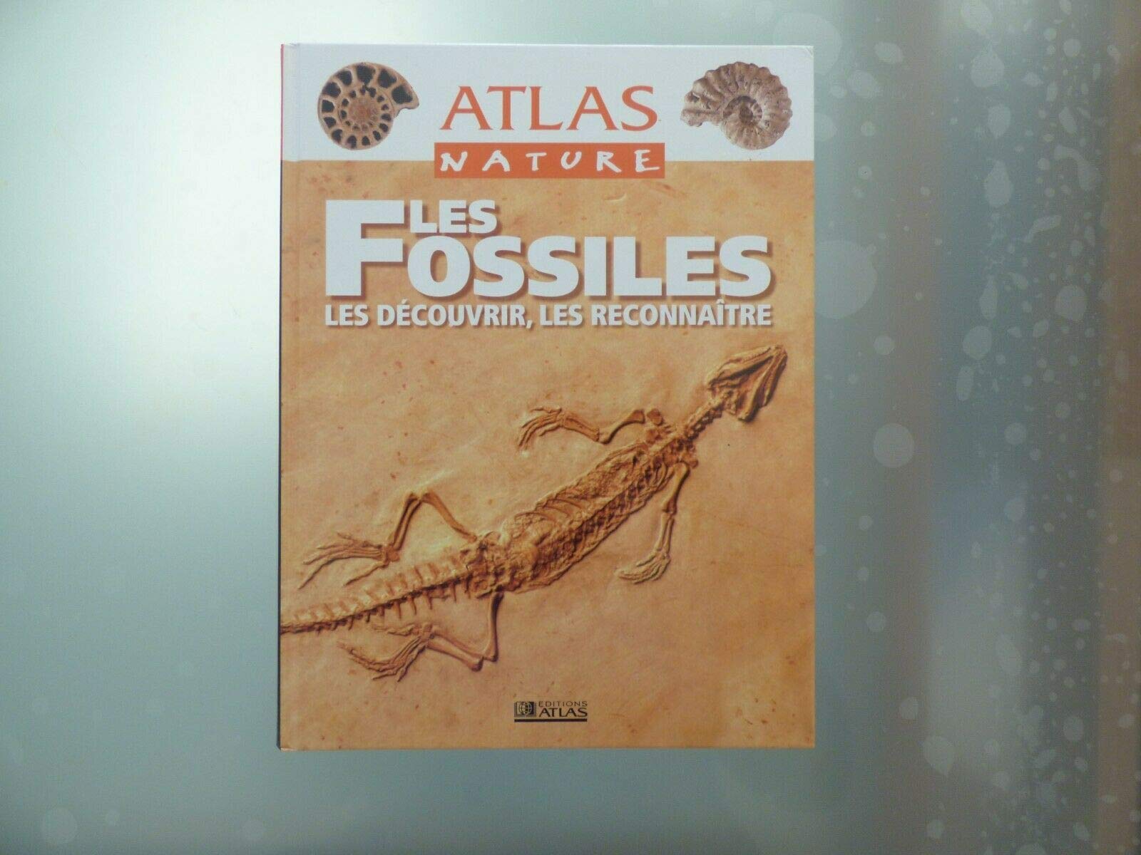 Les Fossiles. Les découvrir, les reconnaître - Atlas nature 9782731223538