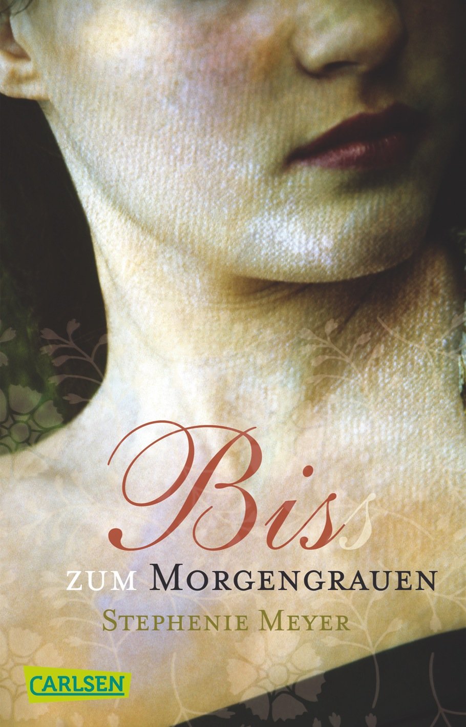 Bis(s) zum Morgengrauen 9783551356901