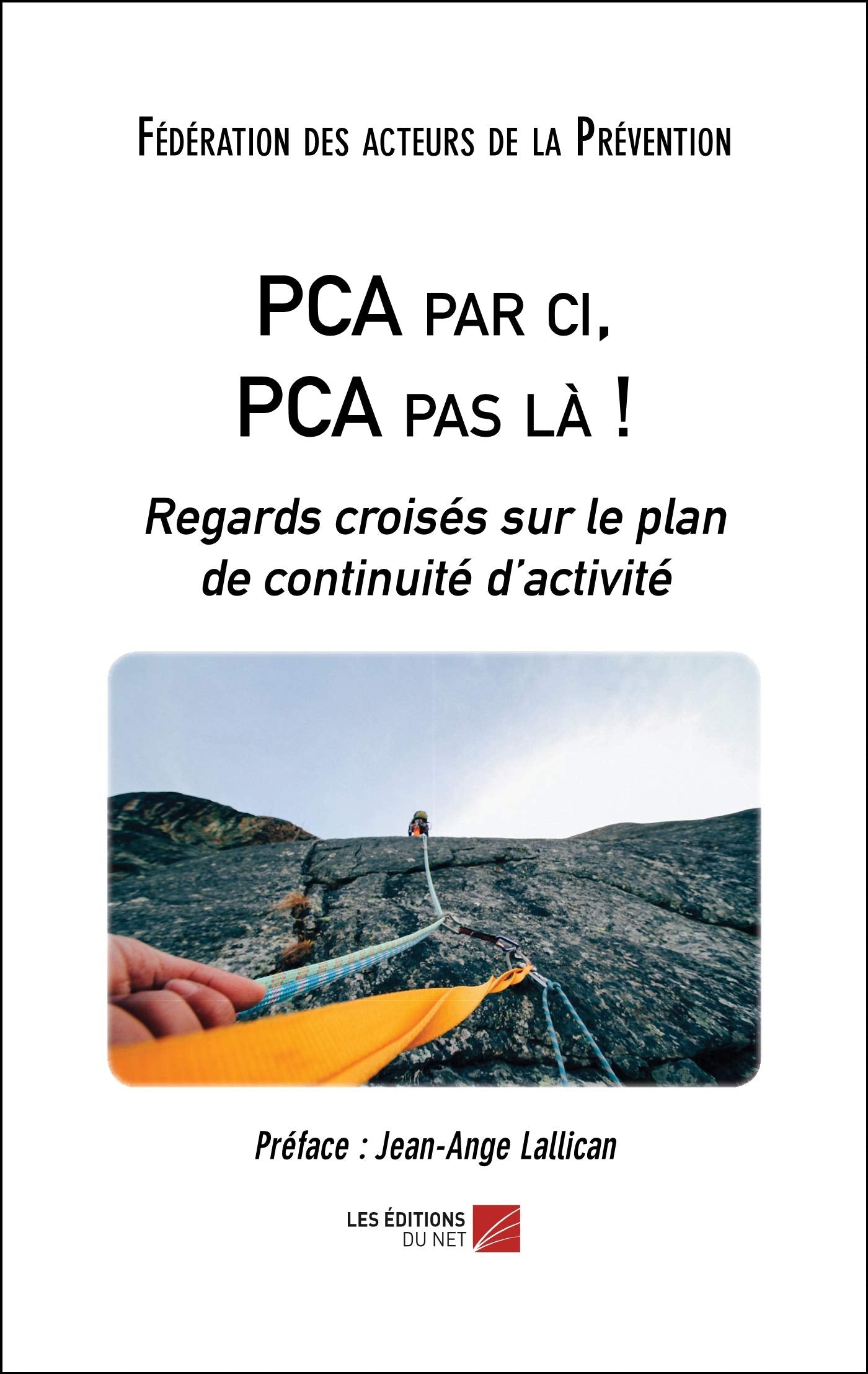 PCA par ci, PCA par là: Regards croisés sur le plan de continuité d’activité 9782312078083