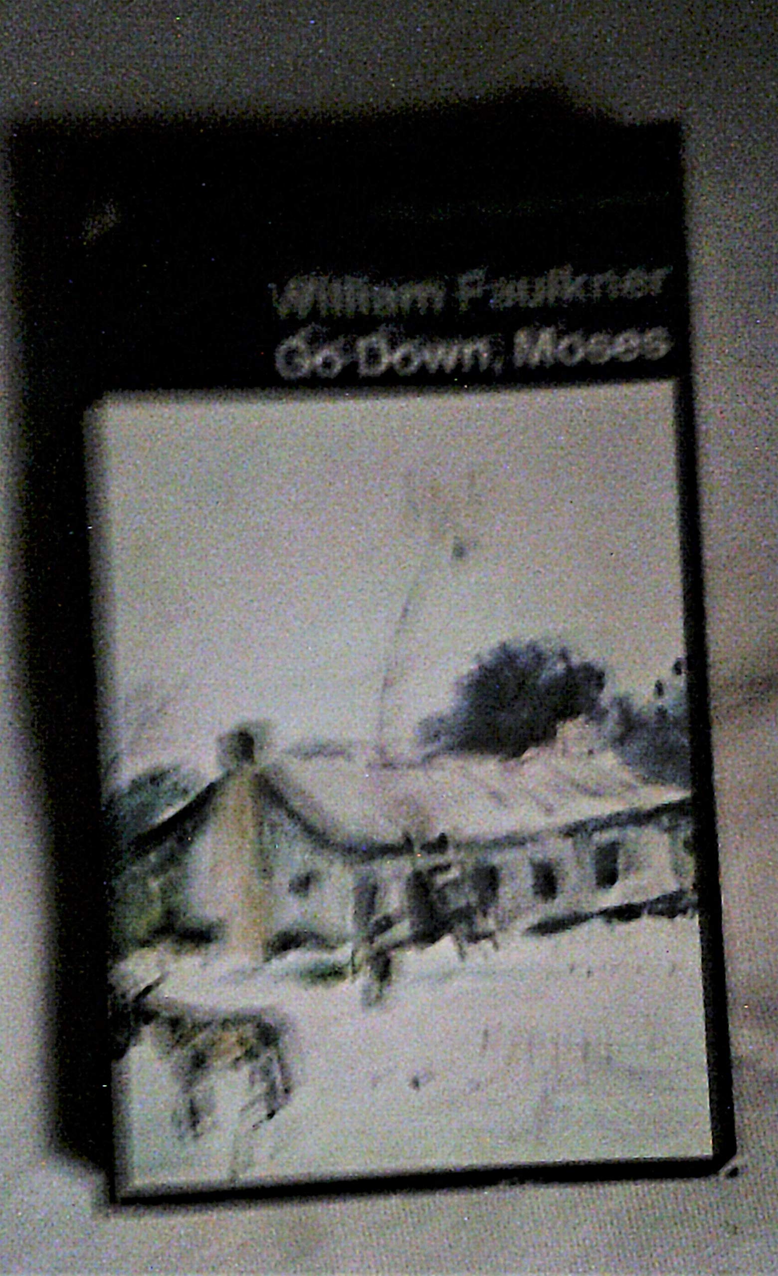 Go Down, Moses And Other Stories: Was; the Fire And the Hearth; Pantaloon in Black; the Old People; the Bear; Delta Autumn; Go Down Moses 9780140014341