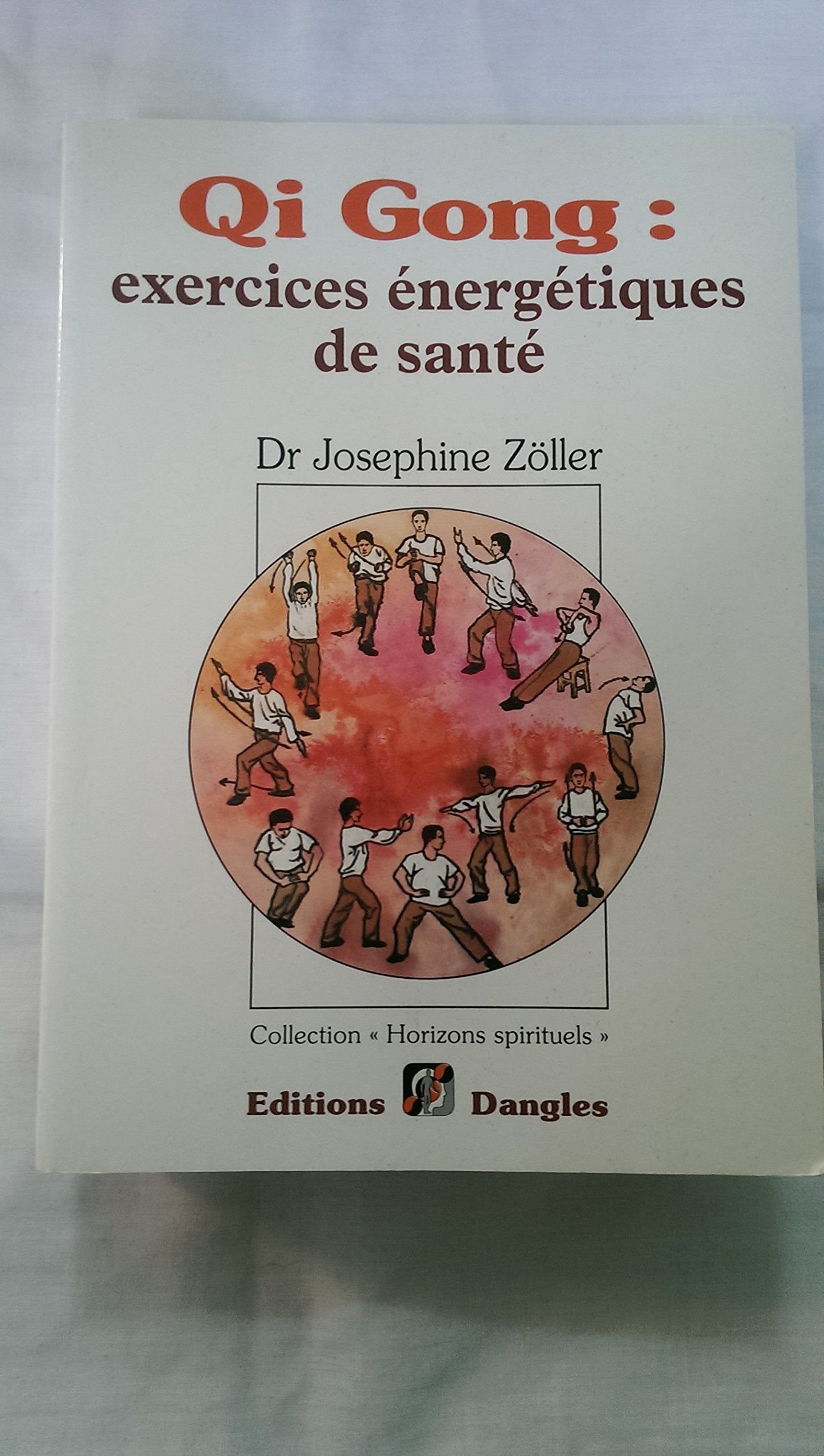 Qi gong exercices énergétiques 9782703303473