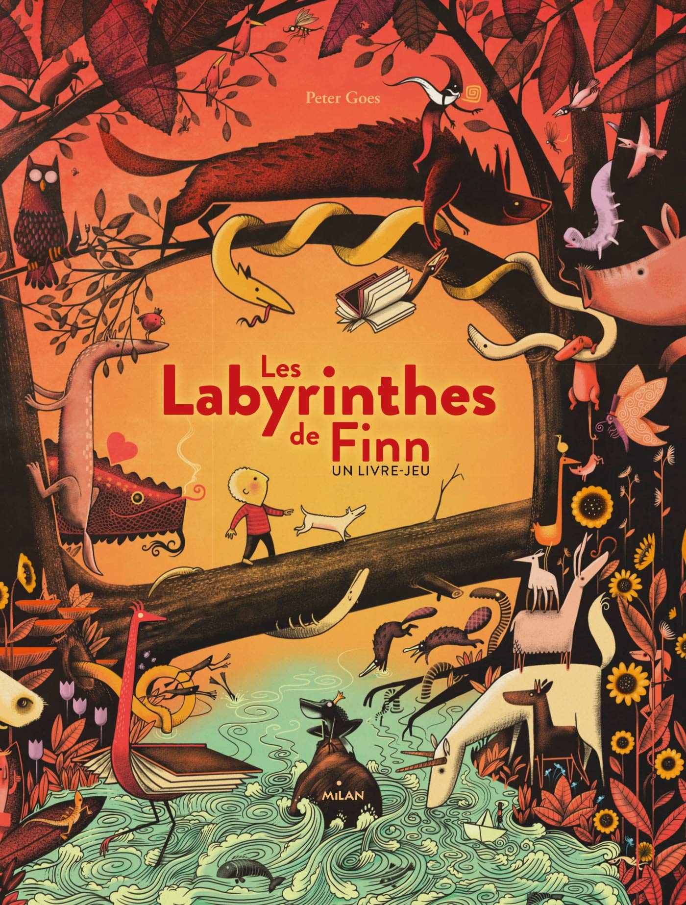 Les labyrinthes de Finn: Un livre-jeu 9782745992079