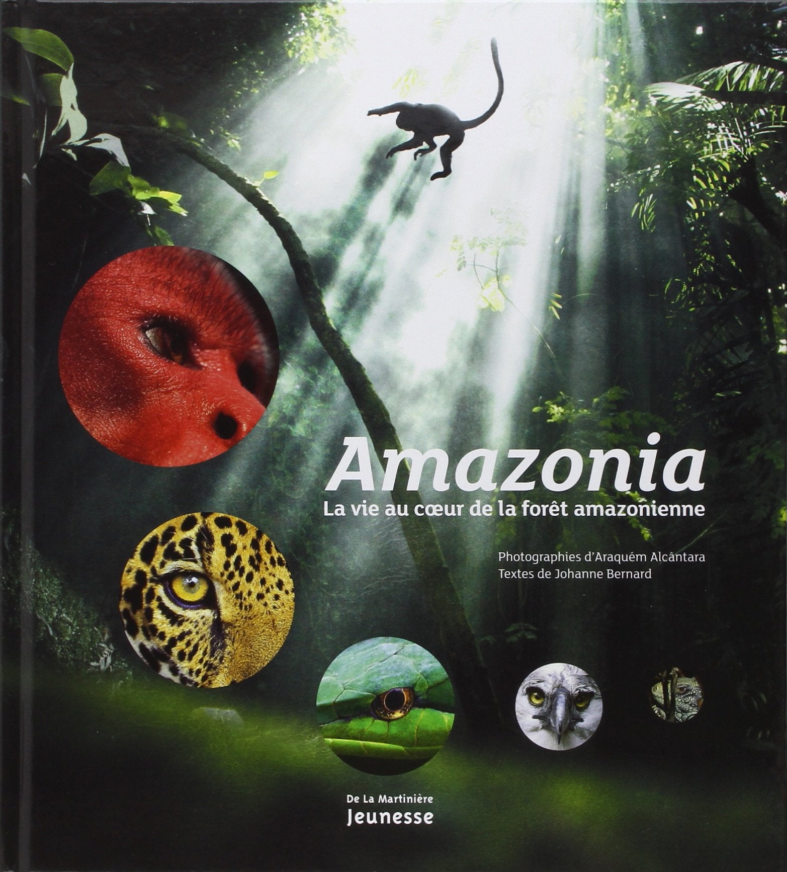 Amazonia: La vie au coeur de la forêt amazonienne 9782732457925