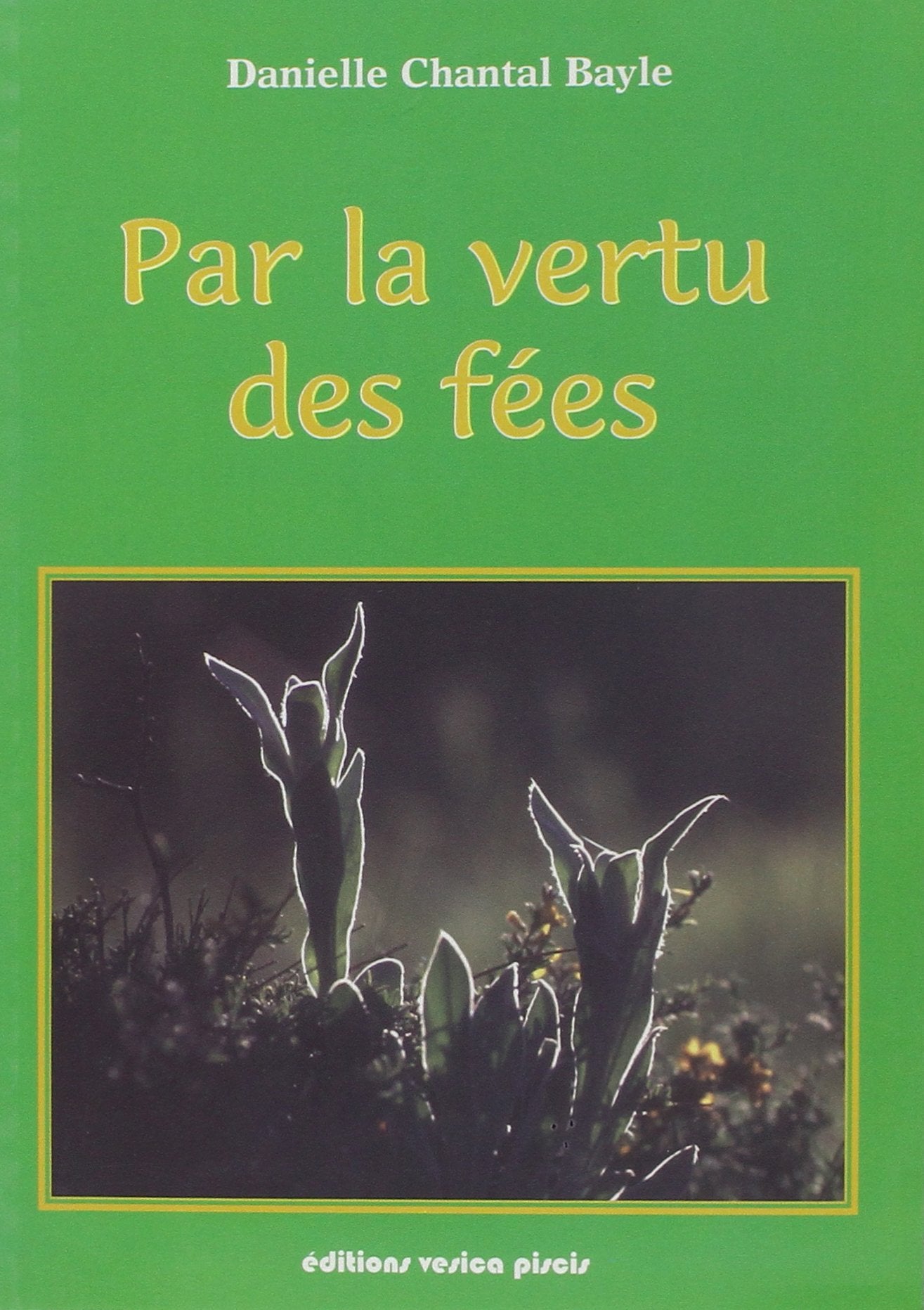 Par la vertu des fées 9788493234942