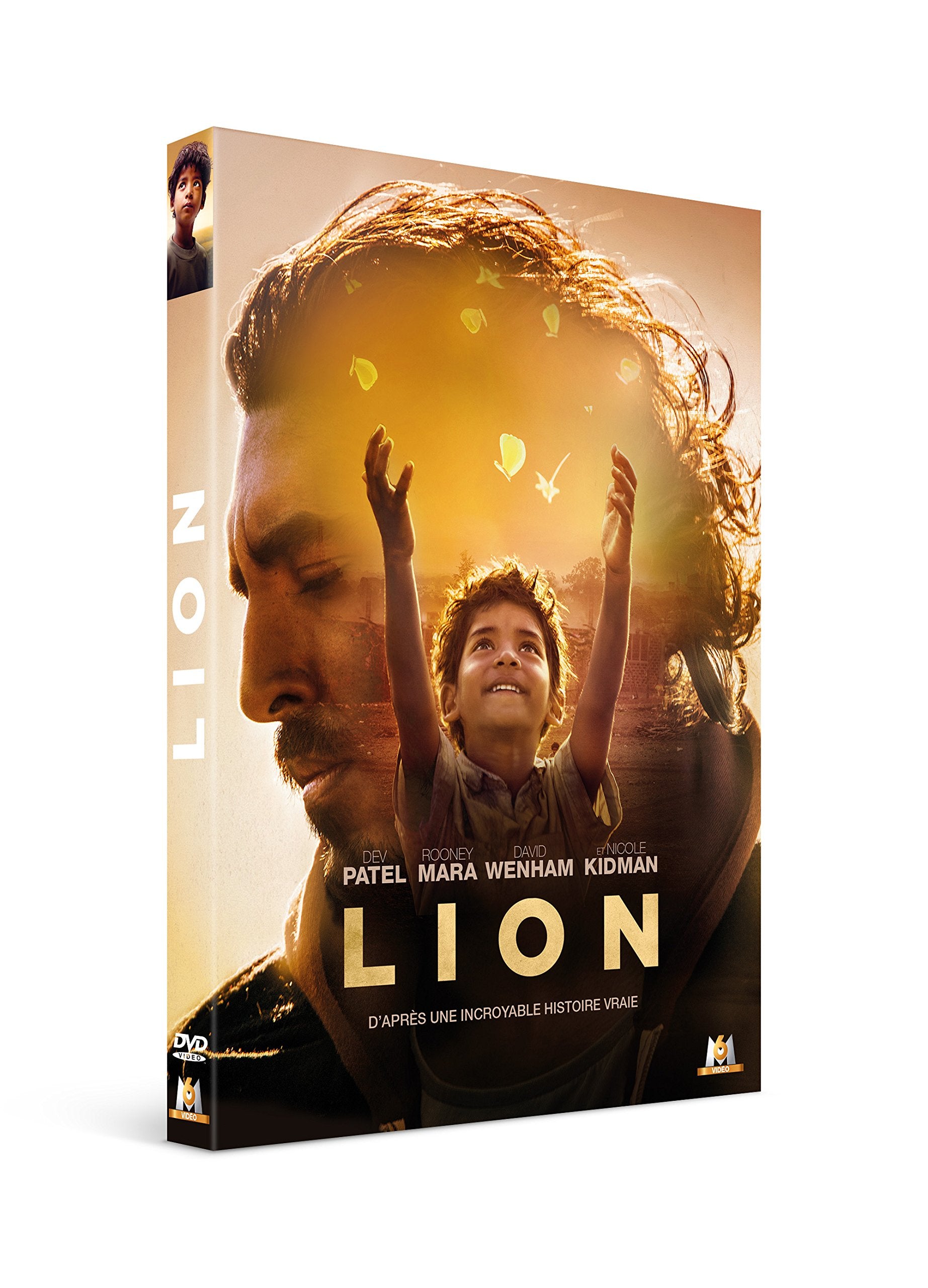 Lion 3475001052506
