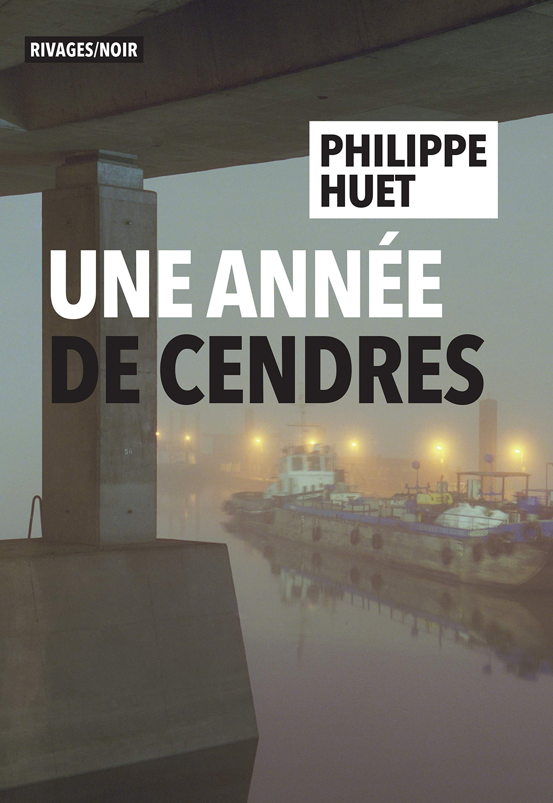 Une année de cendres 9782743646288