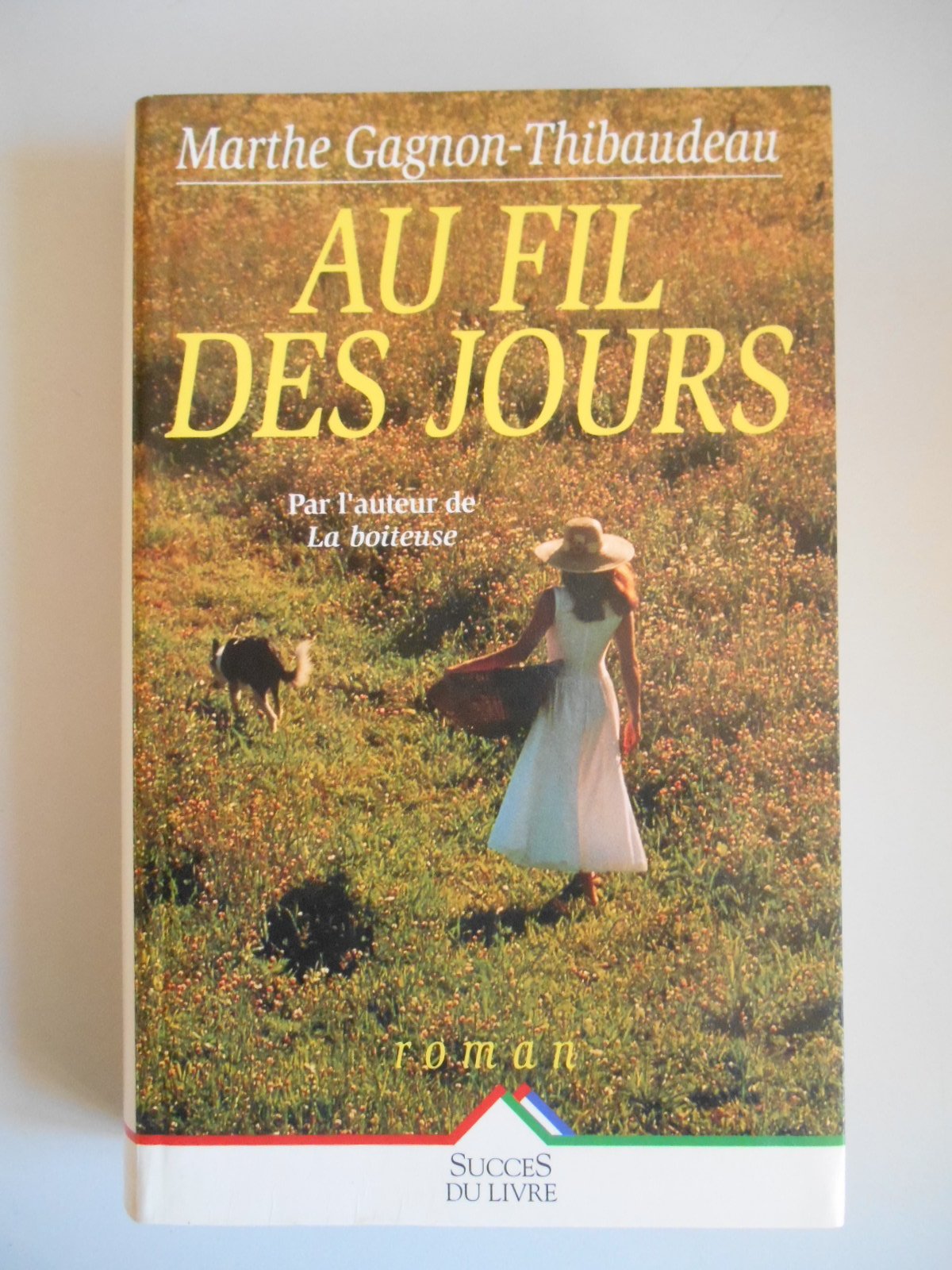 Au fil des jours 9782738210005