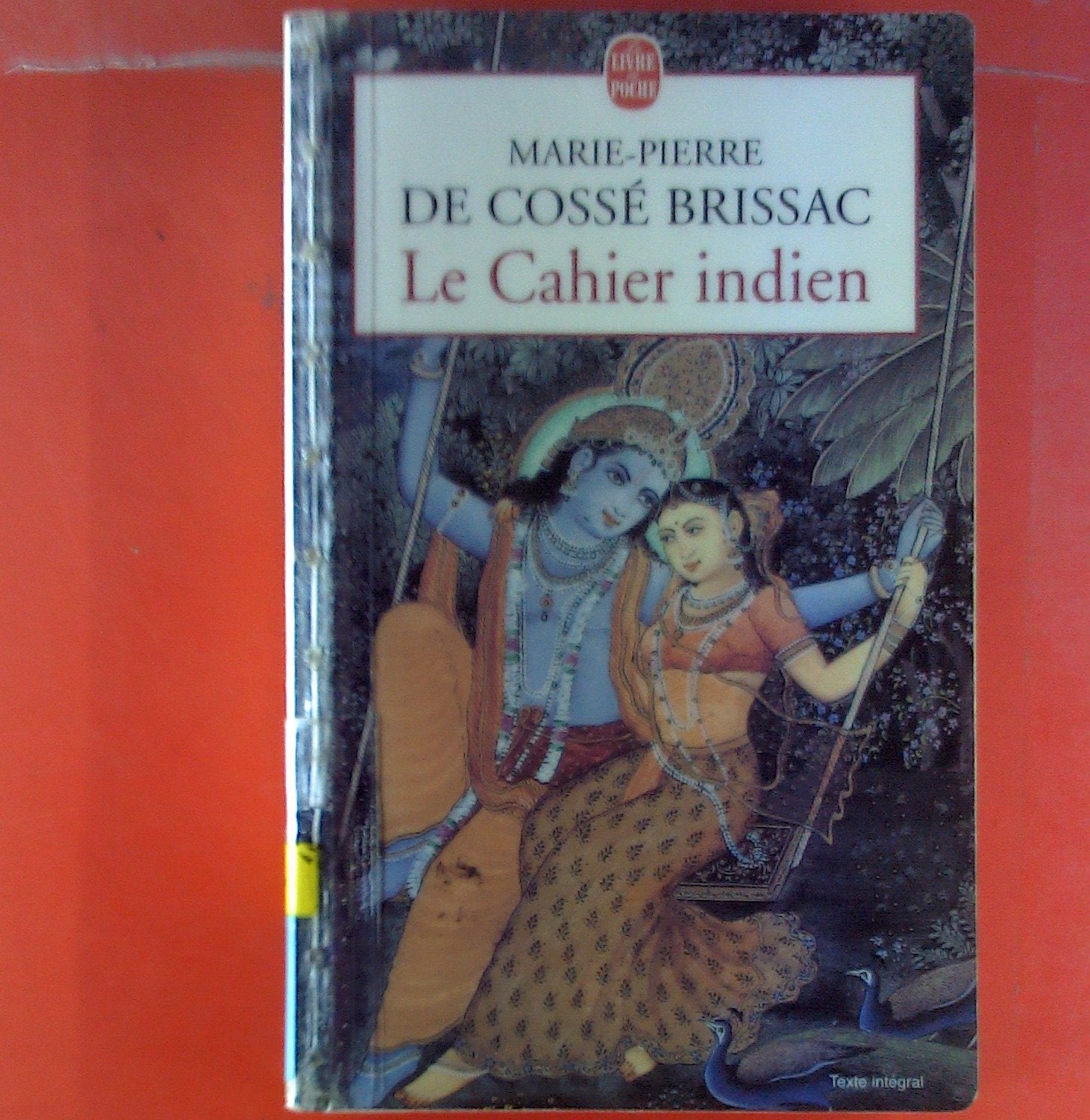 LE CAHIER INDIEN 9782877063210
