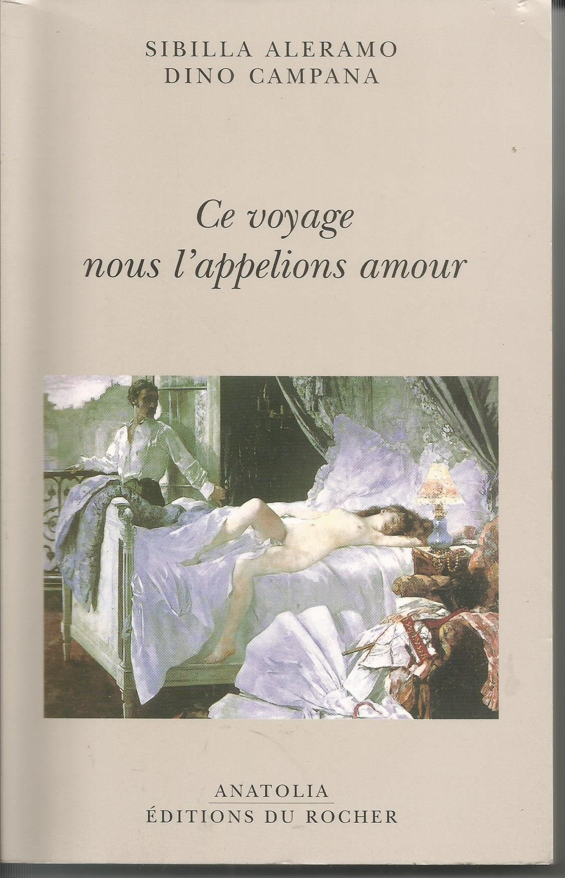 Ce voyage nous l'appelions amour: Lettres 1916-1918 9782268042732