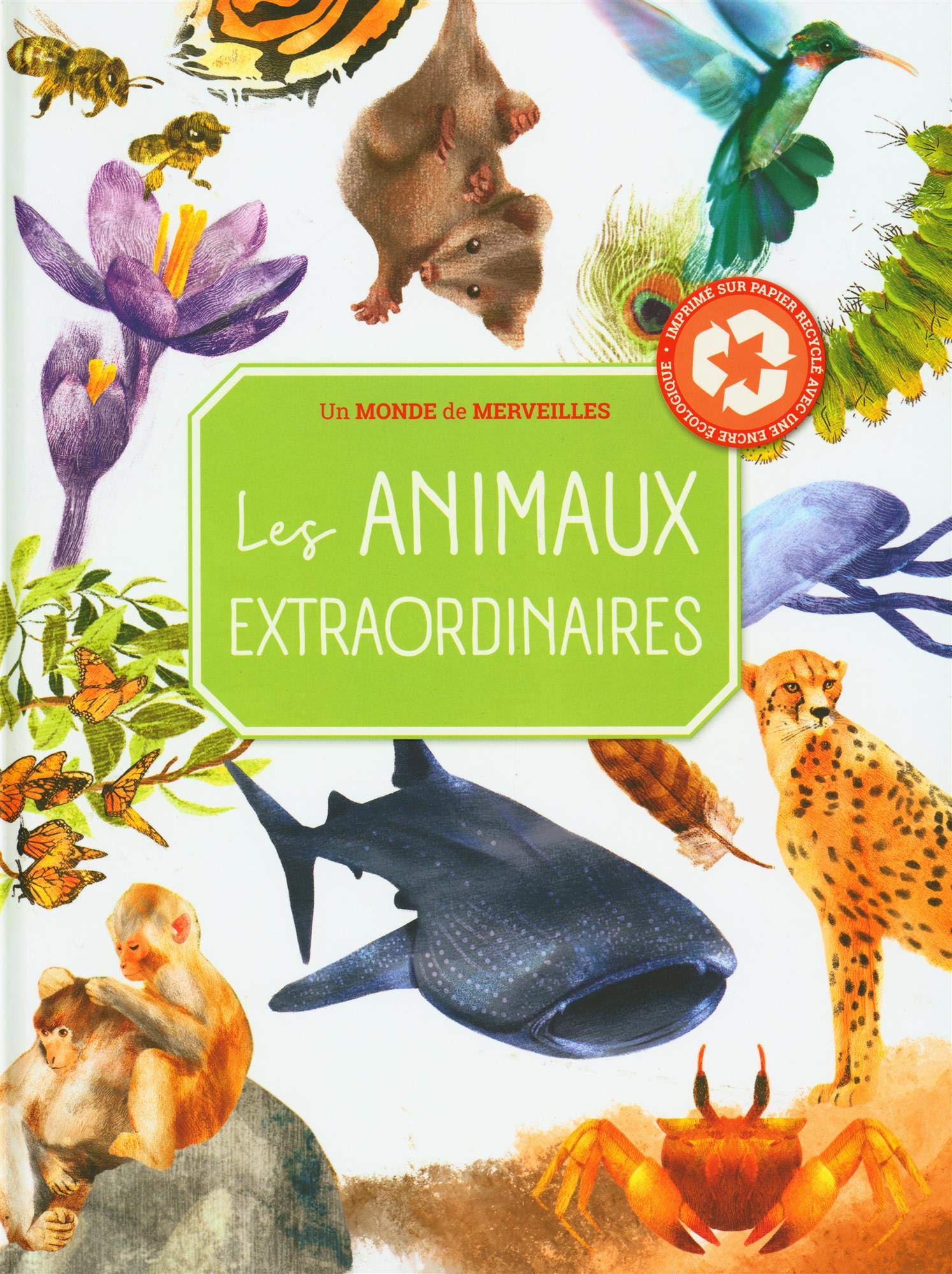 Les animaux extraordinaires 9789463994897