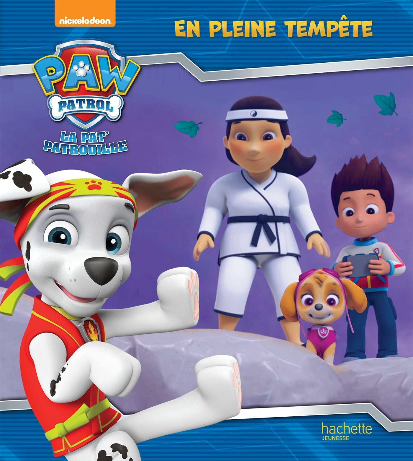 Paw Patrol-La Pat'Patrouille - En pleine tempête 9782016263884