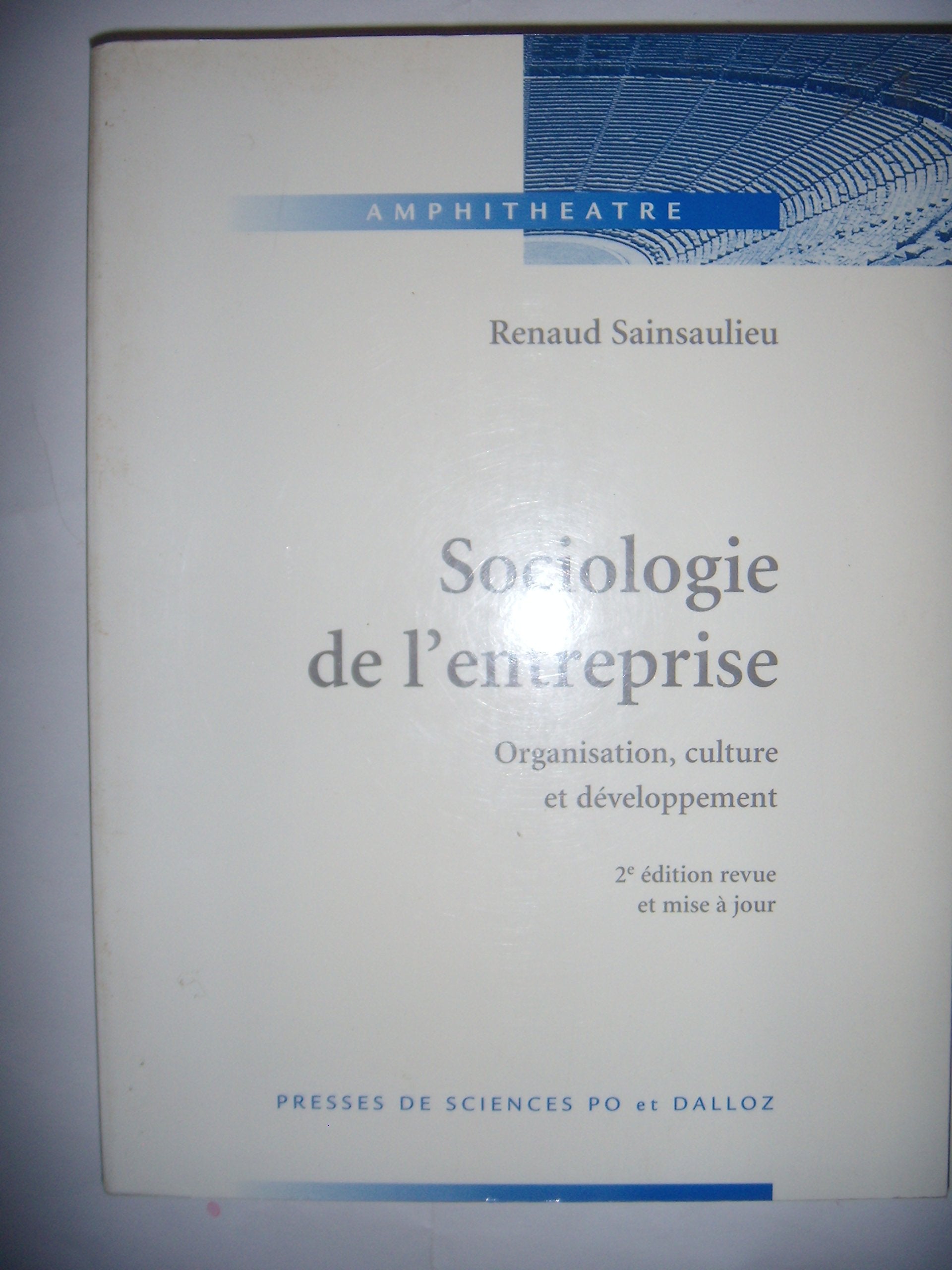 Sociologie de l'entreprise : Organisation, culture et développement 9782247020768