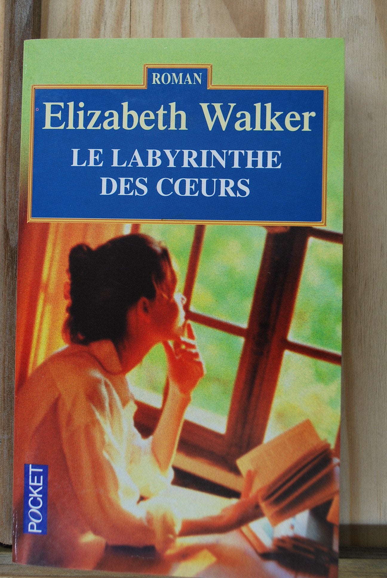 Le Labyrinthe des coeurs 9782266098854