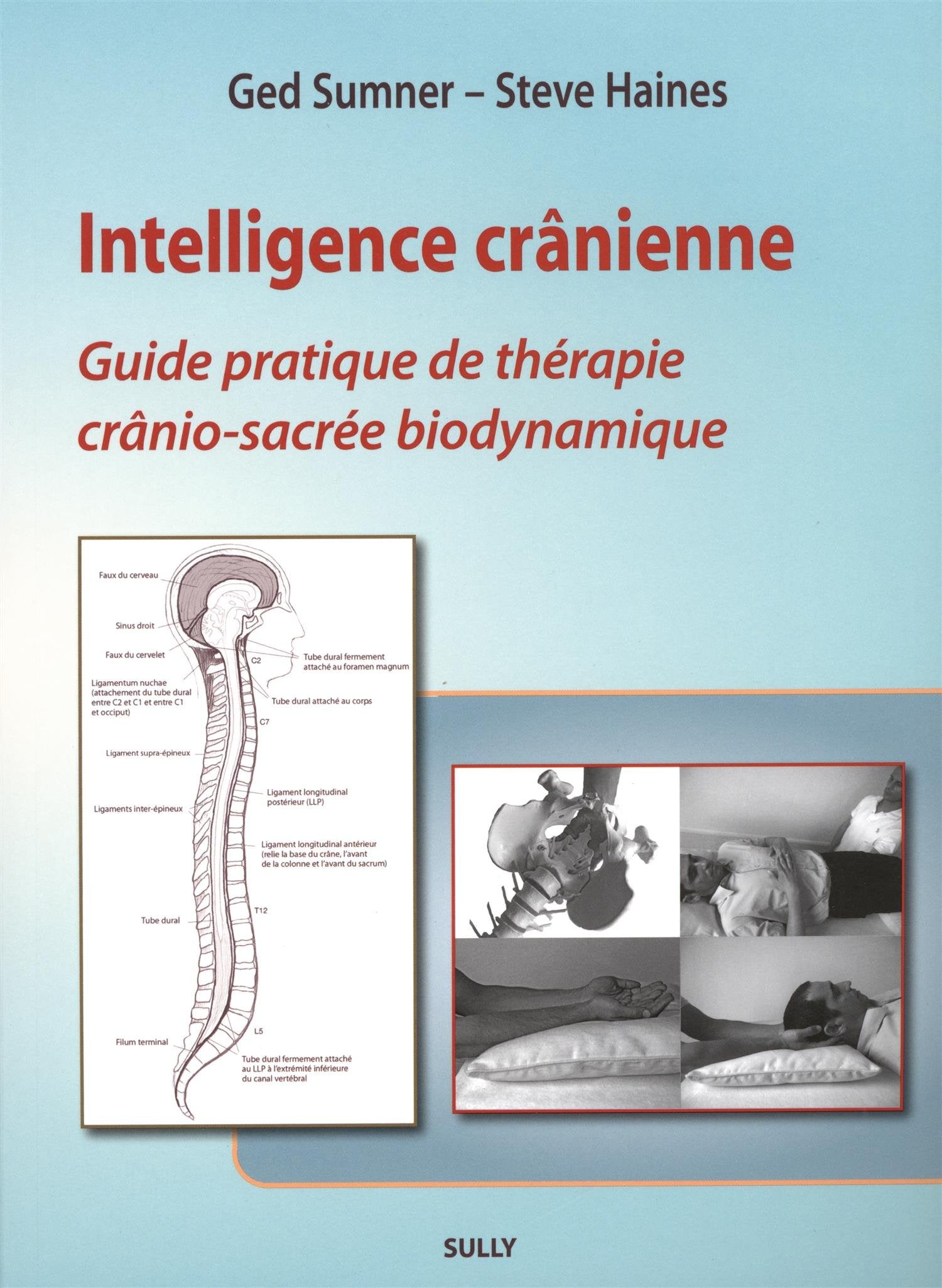 Intelligence crânienne: Guide pratique de thérapie crânio-sacrée biodynamique. 9782354321222