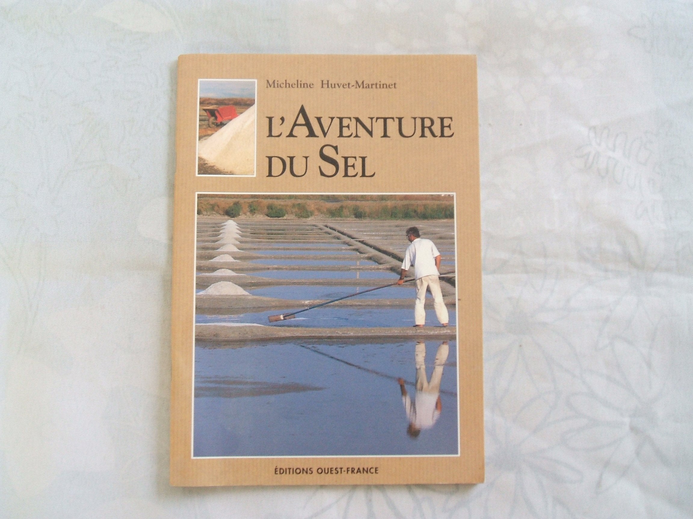 L'Aventure du sel 9782737314513