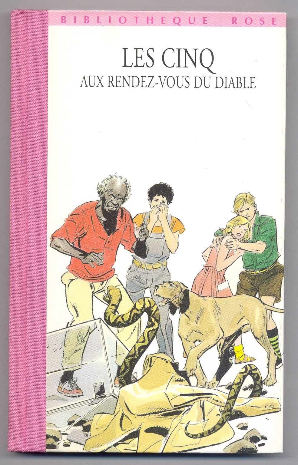 Les Cinq aux rendez-vous du Diable: Une nouvelle aventure des personnages créés par Enid Blyton 9782012092495