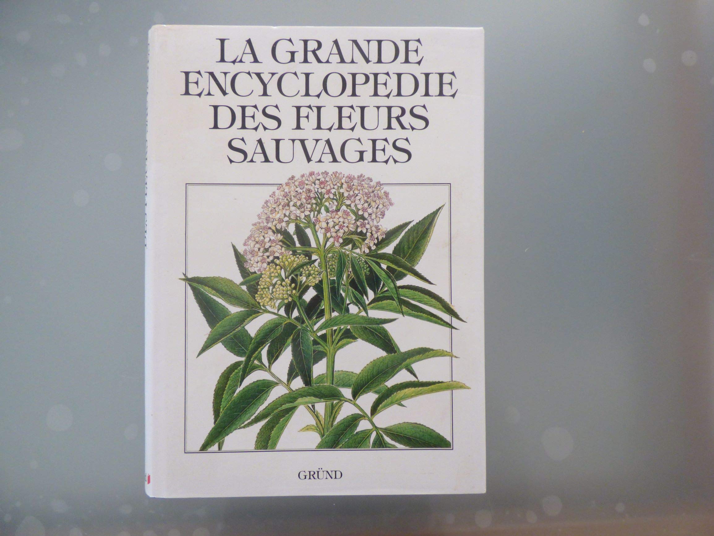 La Grande Encyclopédie des fleurs sauvages 9782700025057