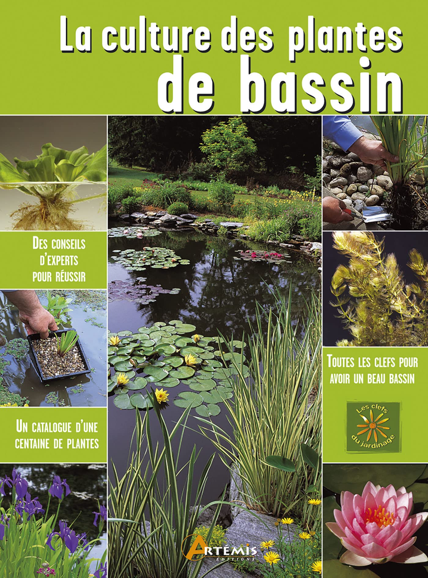 La culture des plantes de bassin 9782844169013