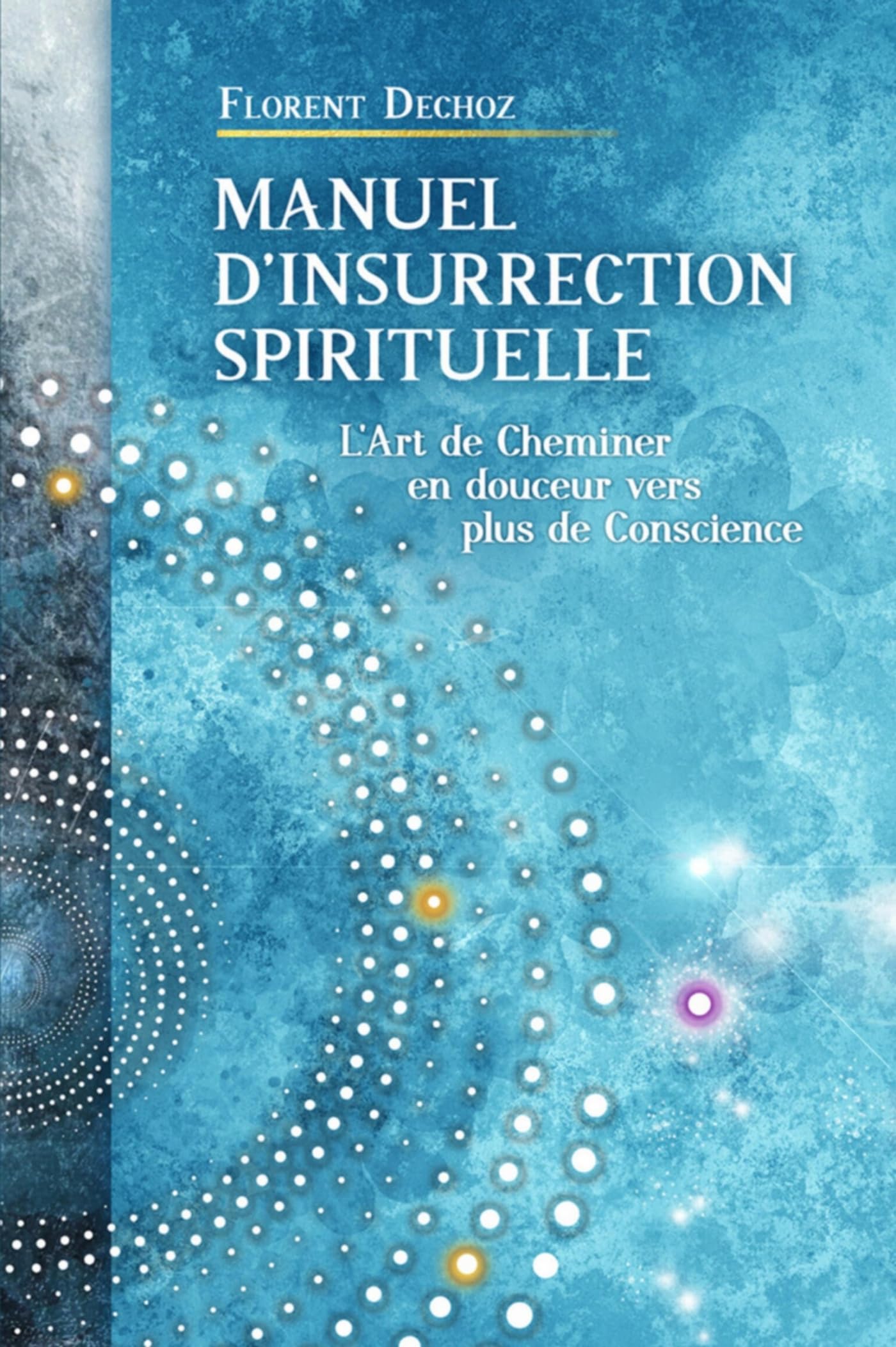 Manuel d'insurrection spirituelle 9791040579847