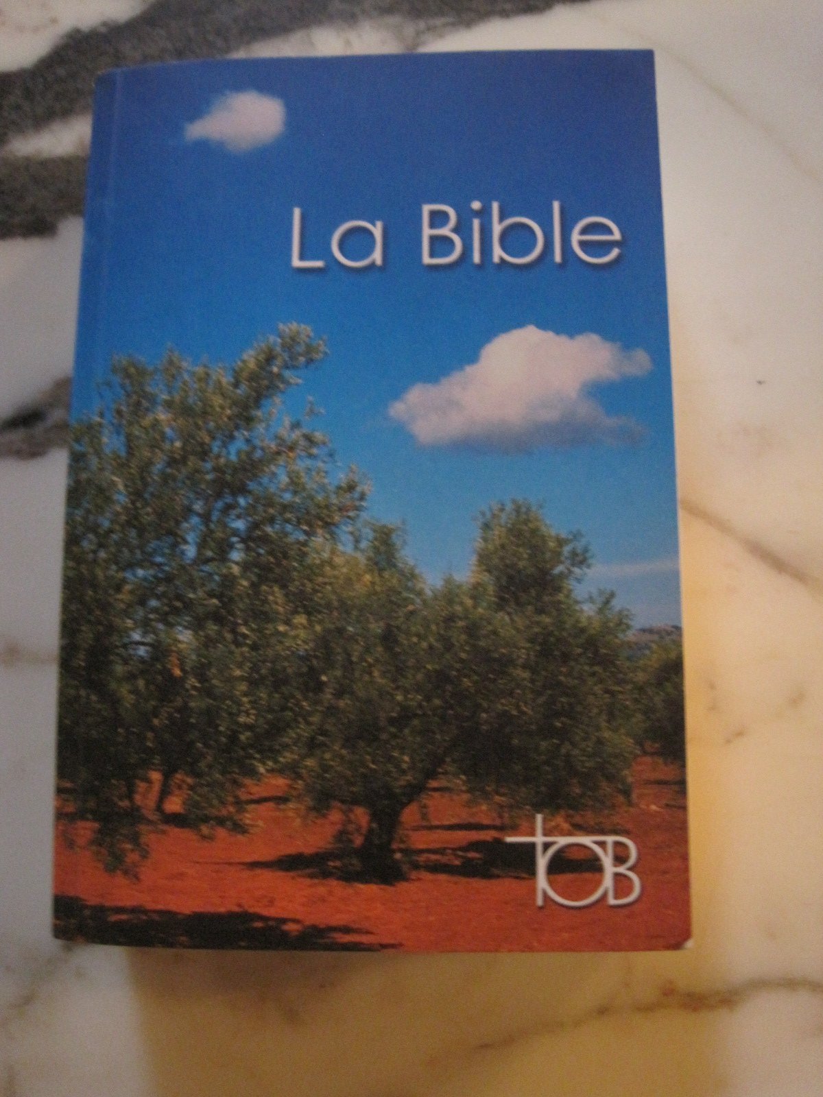 La Bible TOB : Traduction oecuménique de la Bible comprenant l'Ancien et le Nouveau Testament 9782853000697