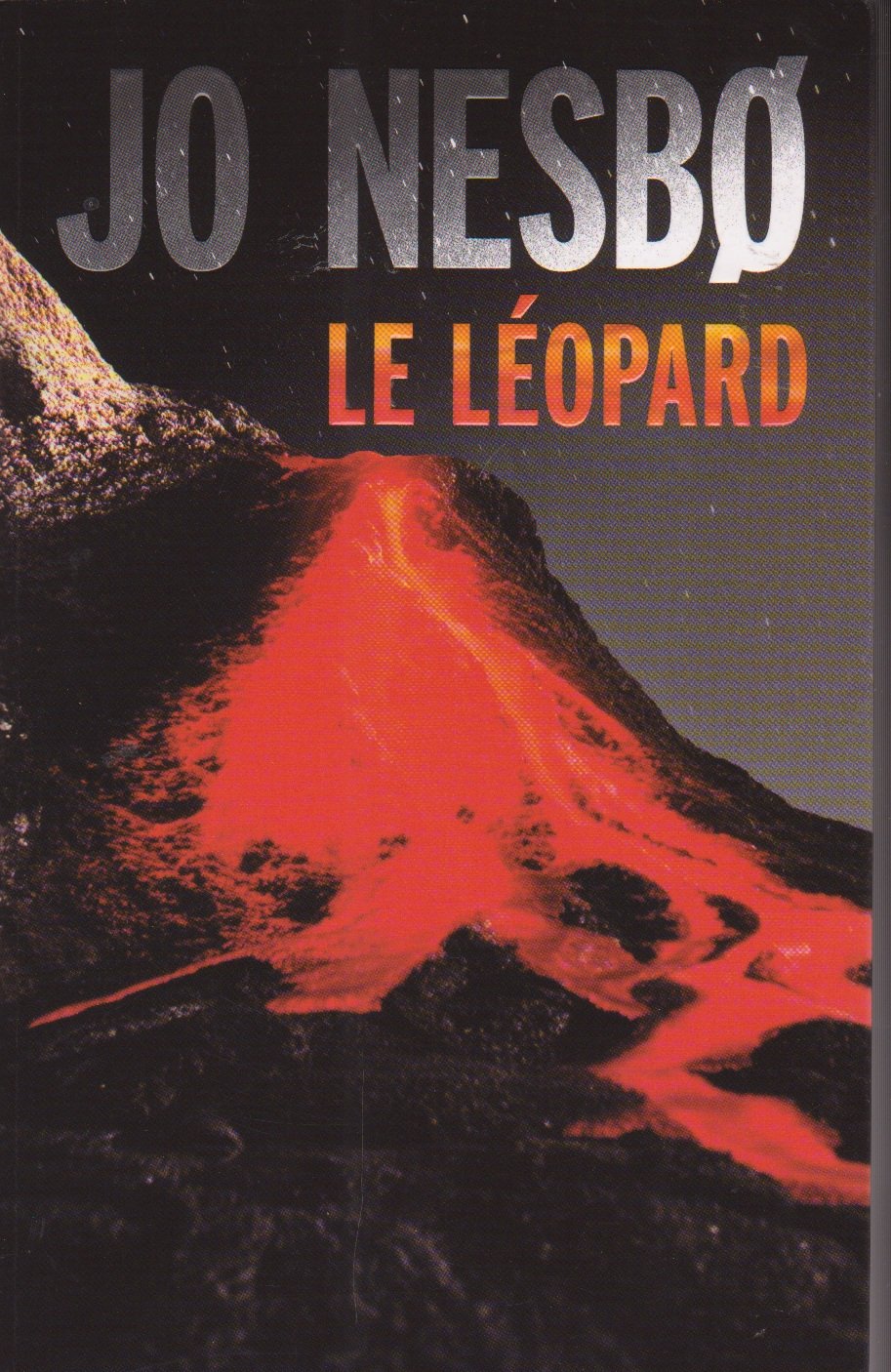 Le léopard 9782298049985