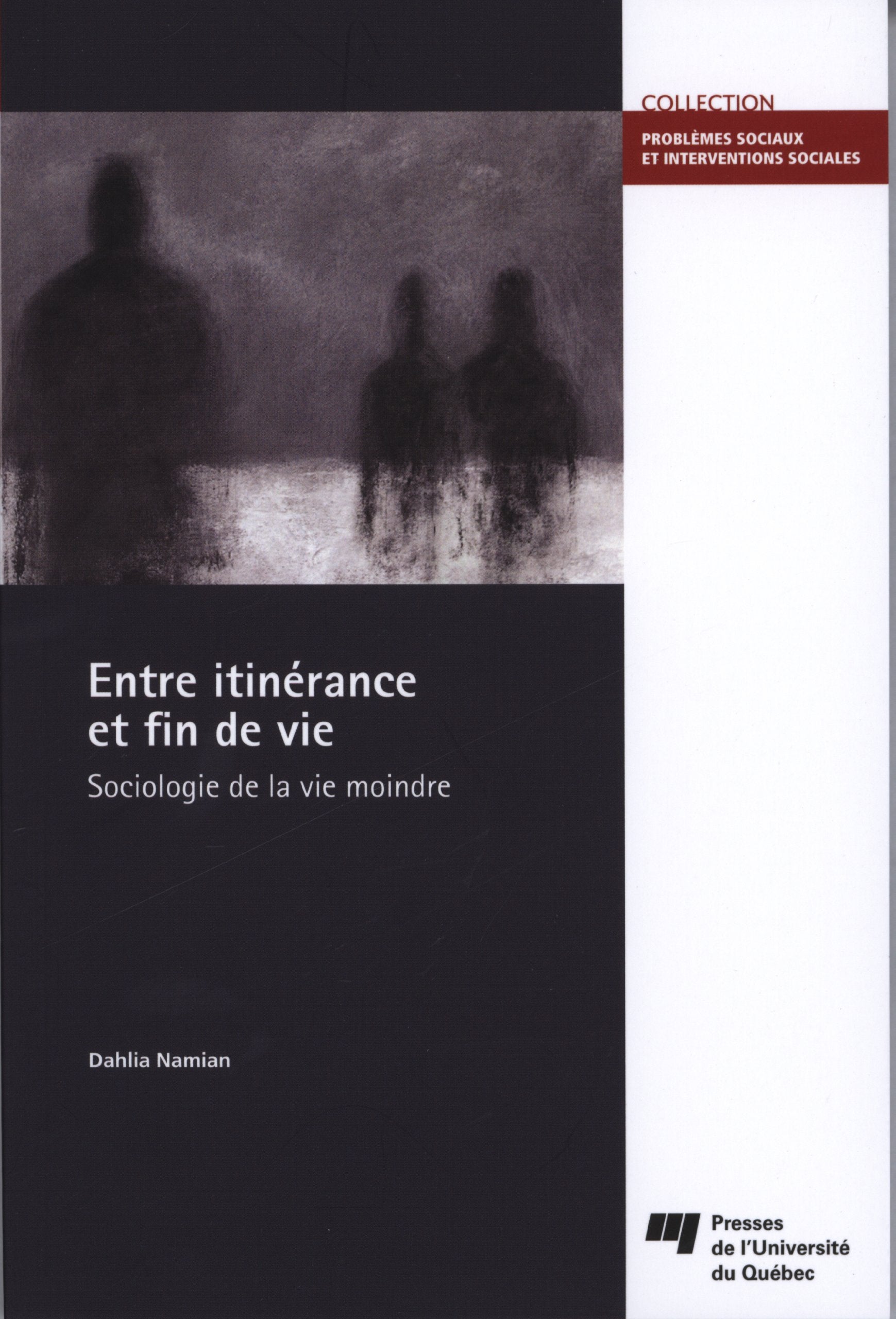 ITINERANCE ET FIN DE VIE 9782760535152