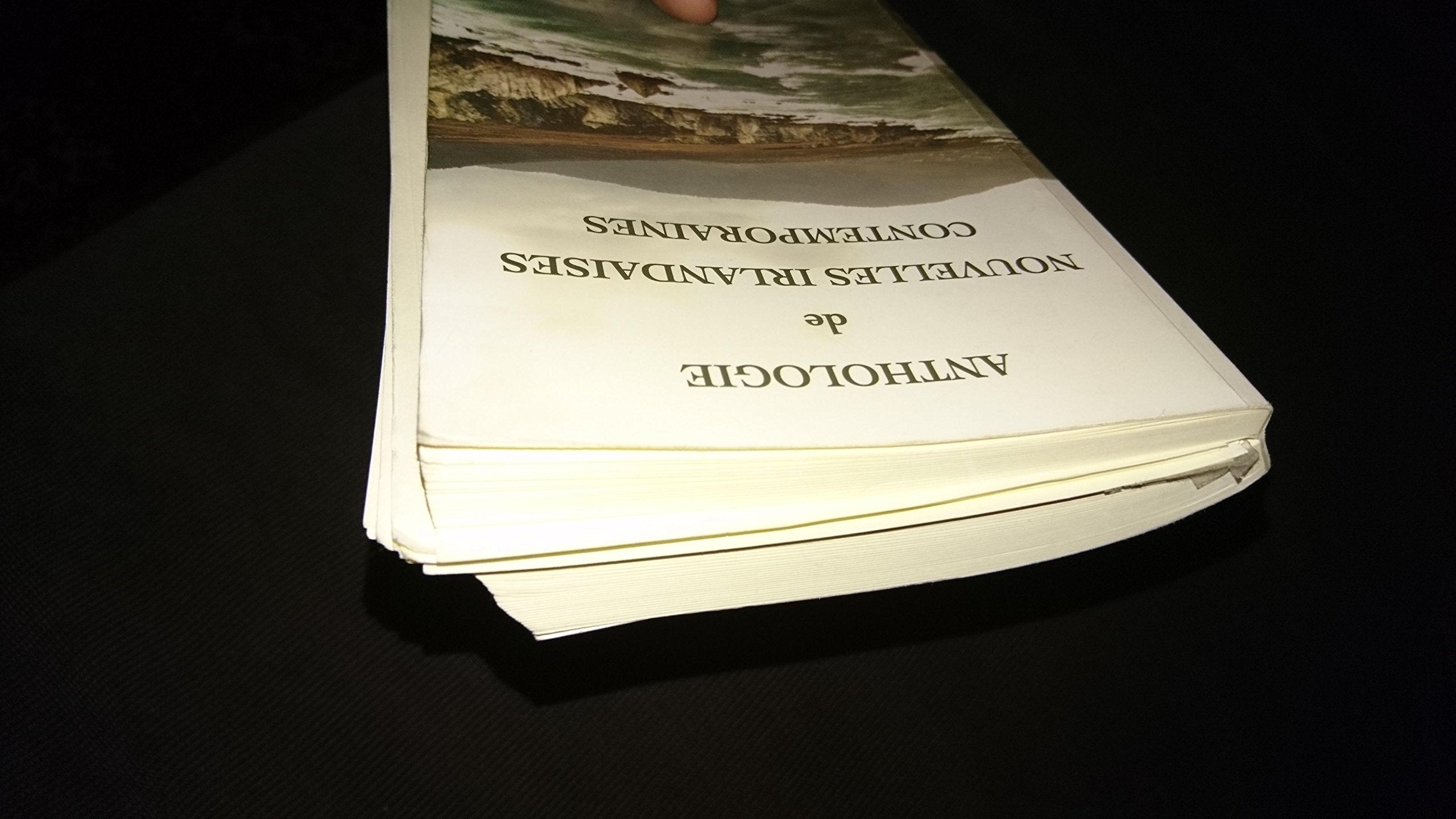 Anthologie de nouvelles irlandaises contemporaines. Edition bilingue 9782841520855