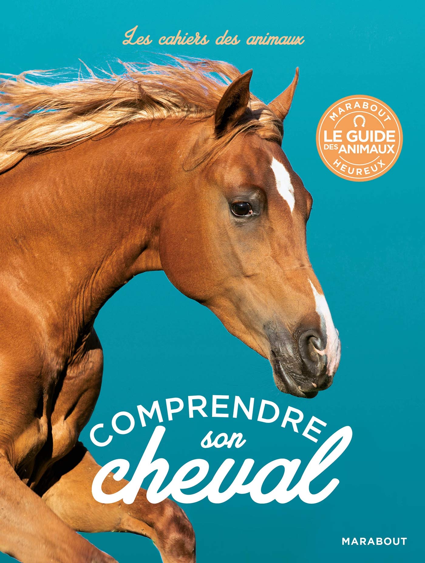 Comprendre son cheval 9782501140942