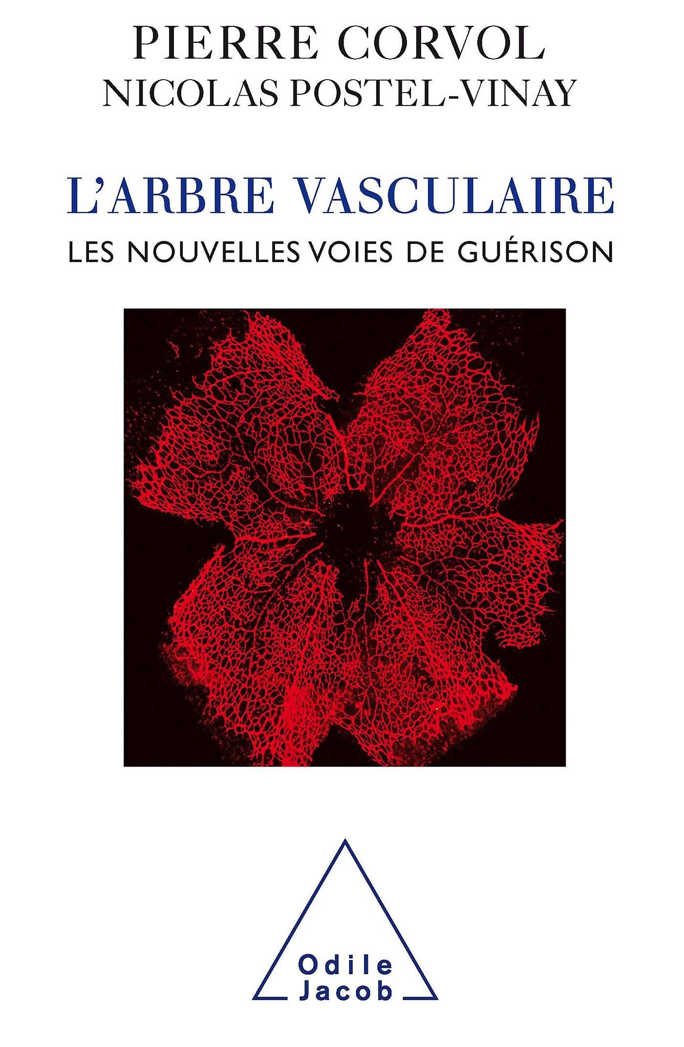 L'Arbre vasculaire: Les nouvelles voies de guérison 9782738120595