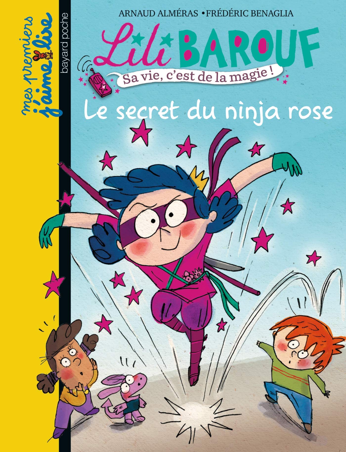 Le secret du ninja rose 9782747029339