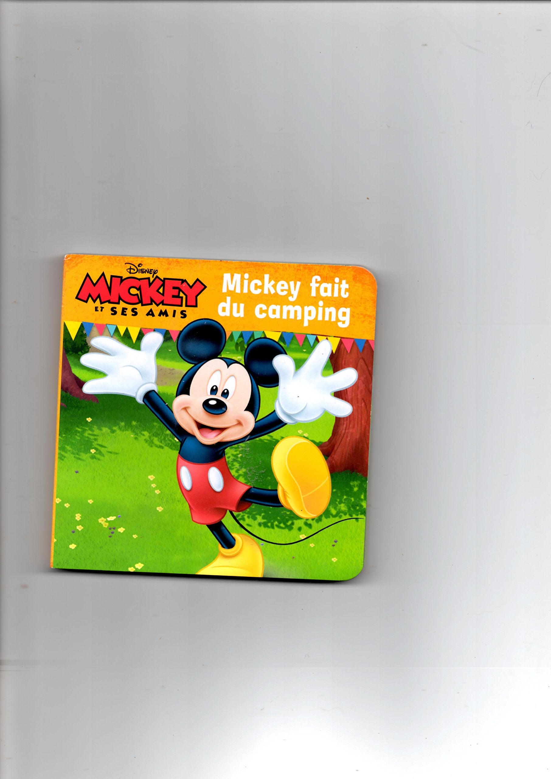 MICKEY FAIT DU CAMPING 8716745013008