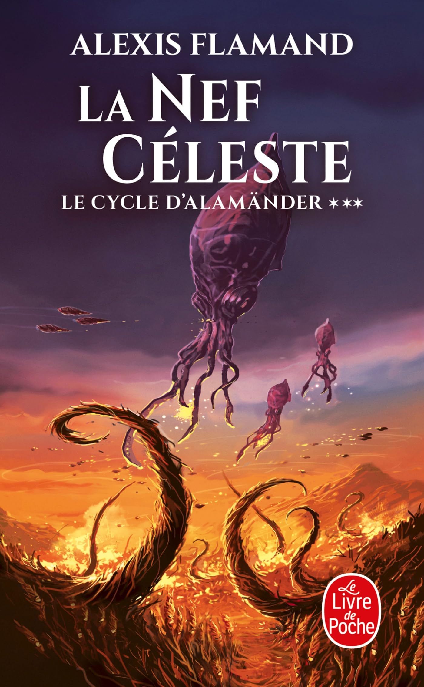 La Nef céleste (Le Cycle d'Alamänder, Tome 3) 9782253103271